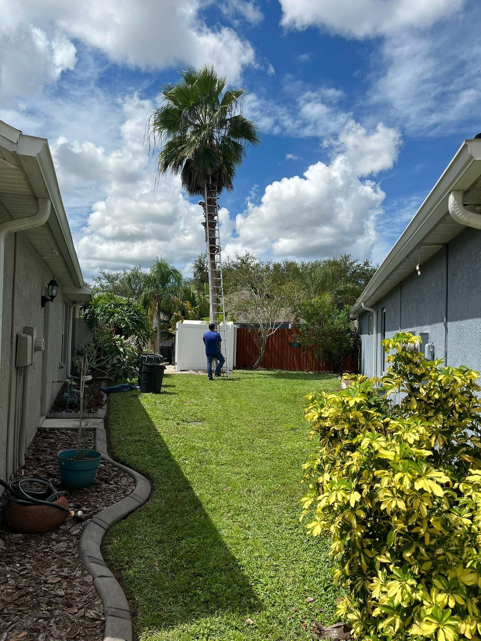  for Bills Tree Service in Valrico, FL