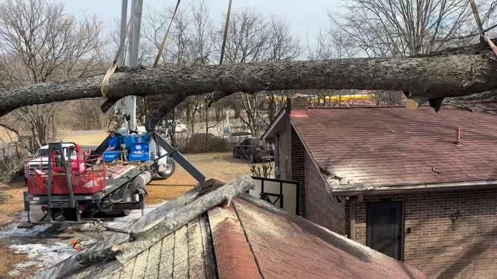  for TriStar Land Clearing & Mulching in Franklin, TN