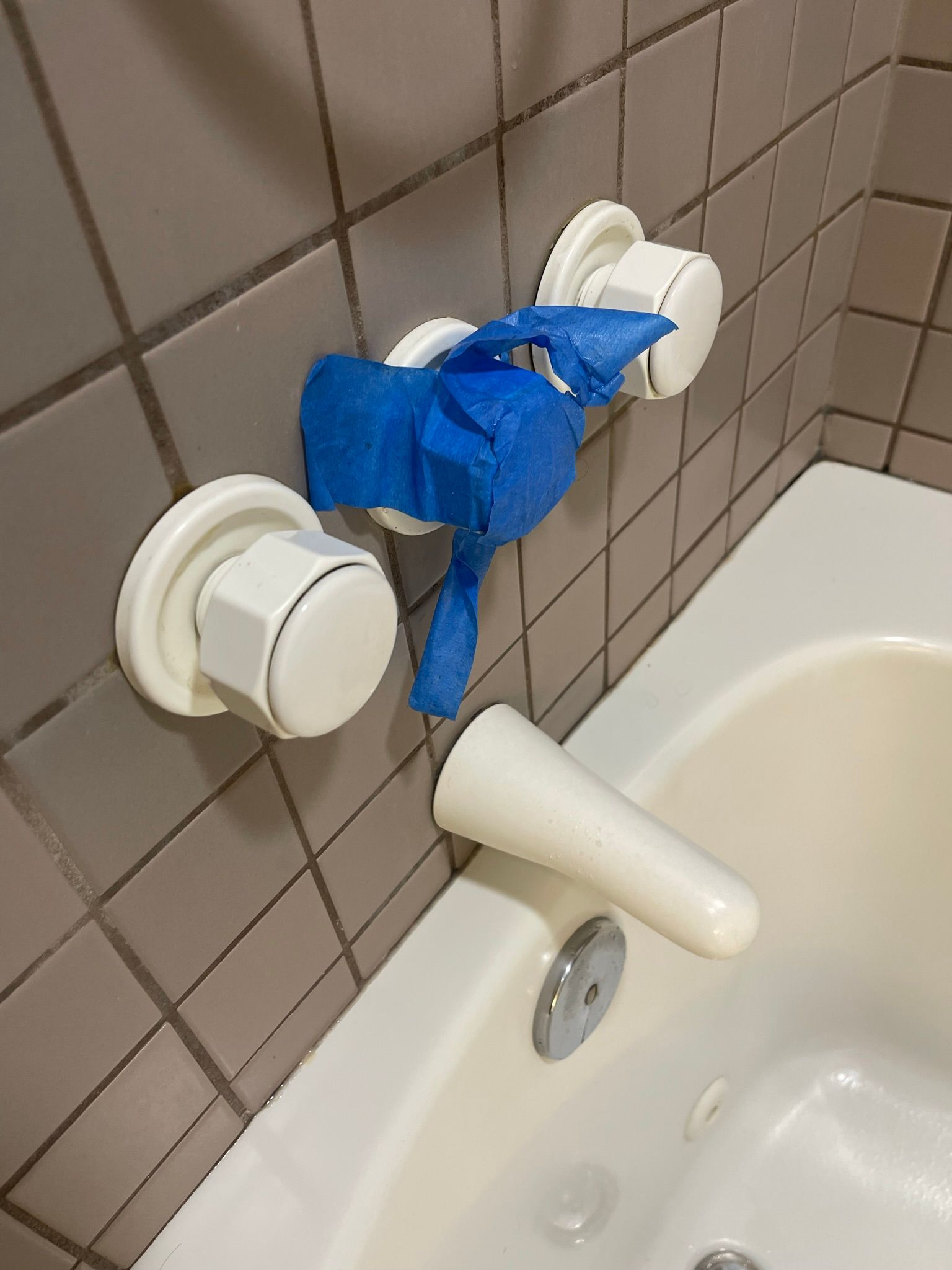  for Tony's Remodeling & Painting in Renton, WA