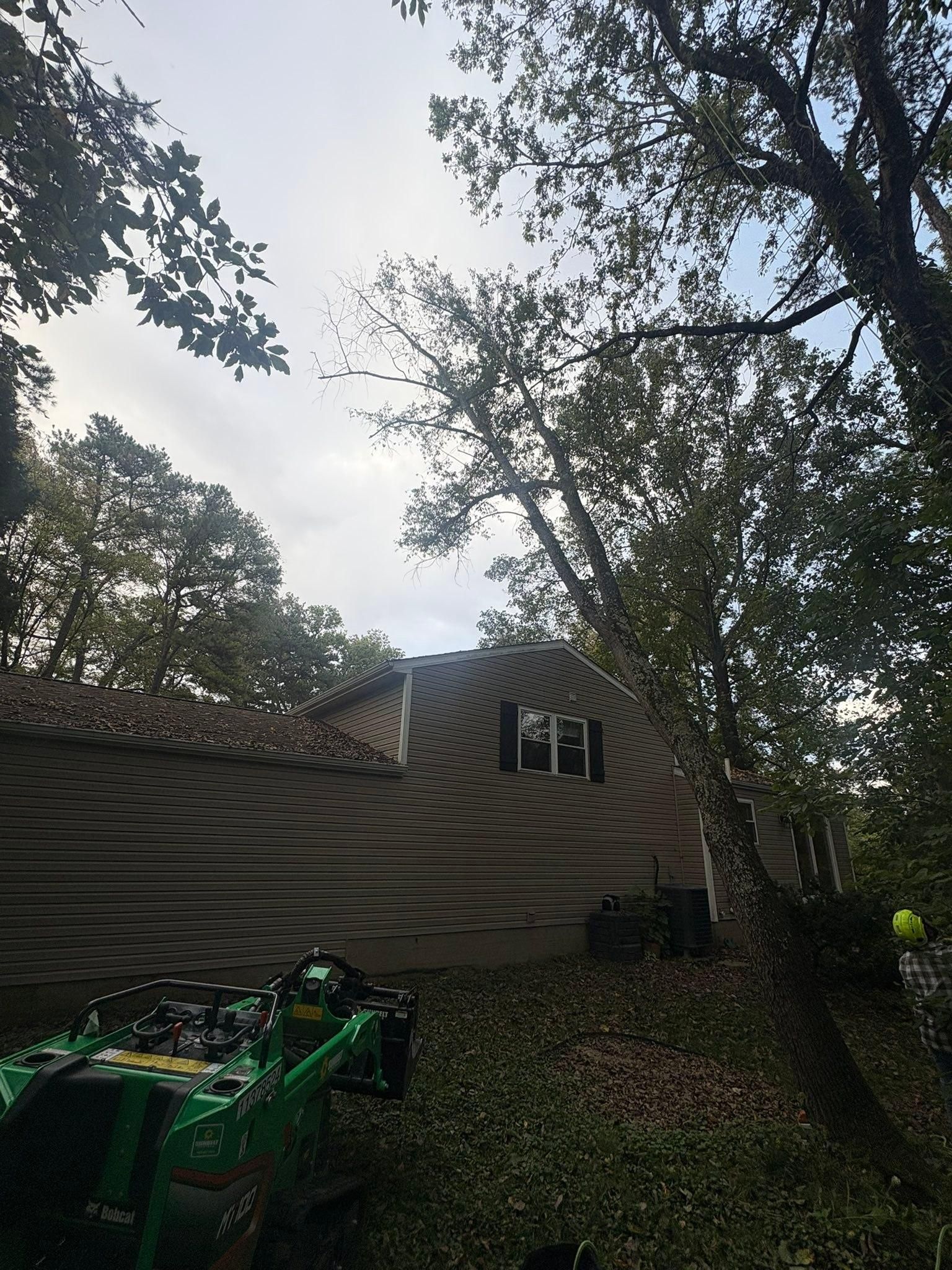  for Dig-It Tree Company in , 