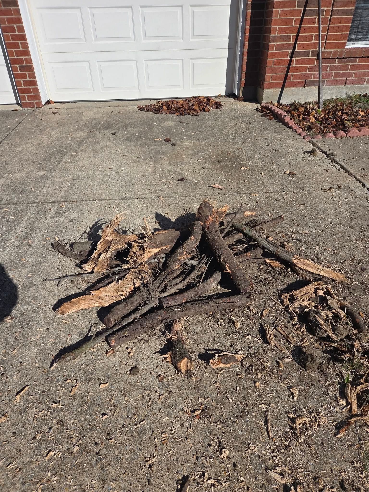  for Lavon Lawn Plus in Lavon, TX