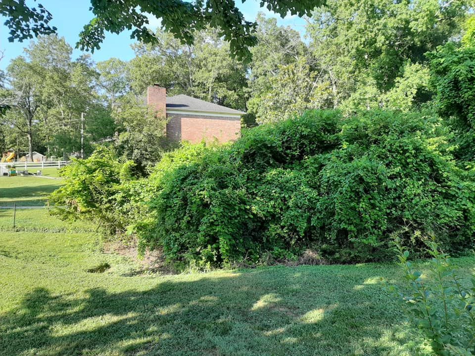  for Southeast Land Services in Cleveland, TN