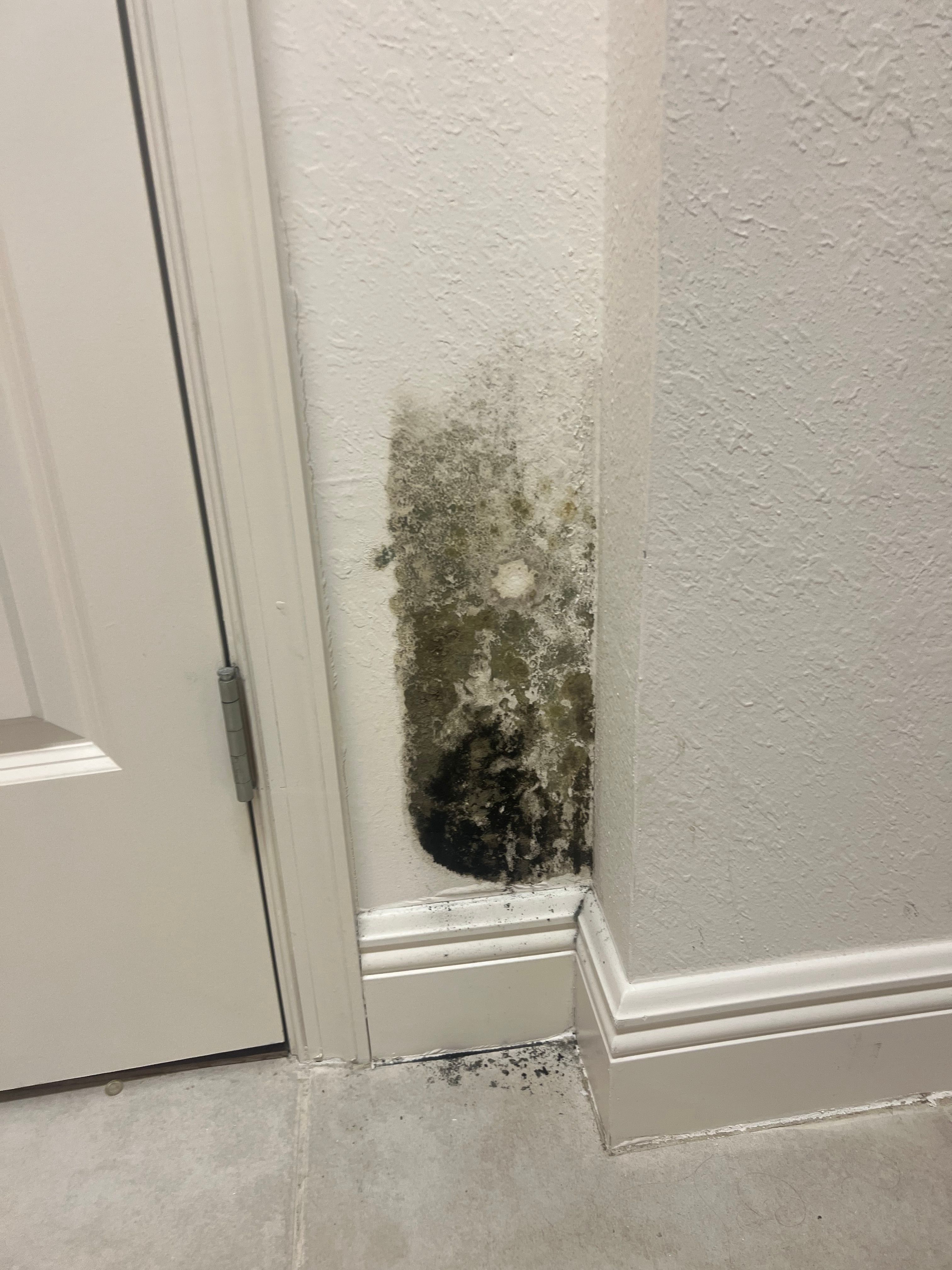  for N&D Restoration Services When Disaster Strikes, We Come In in Cape Coral,  FL