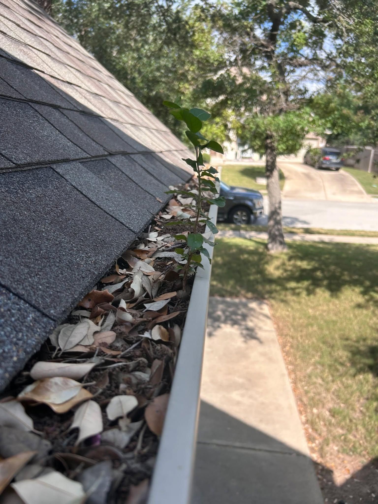 All Photos for House Beautiful Home Services in Austin, TX