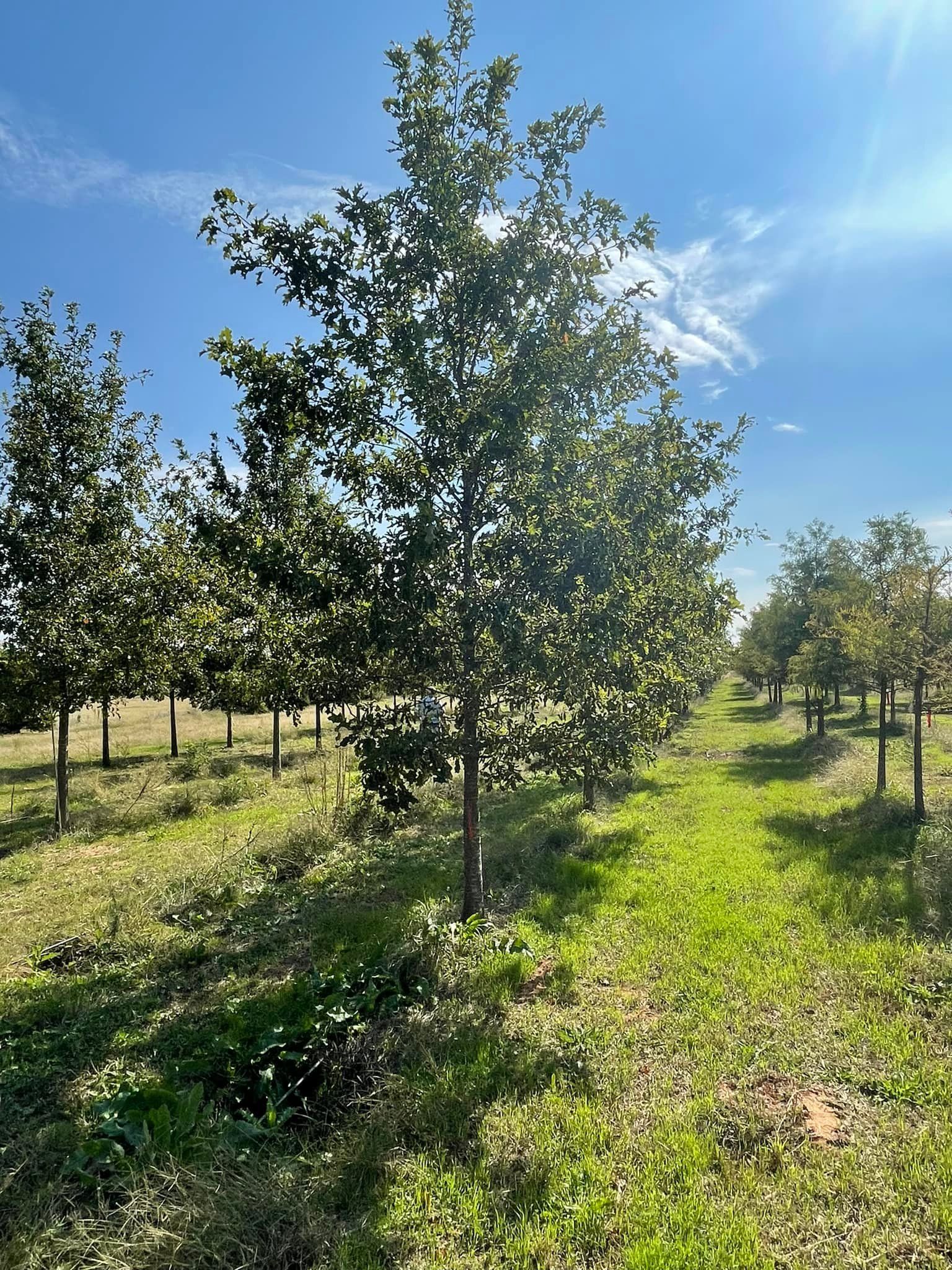  for R&J Hydromulch in Booker, TX