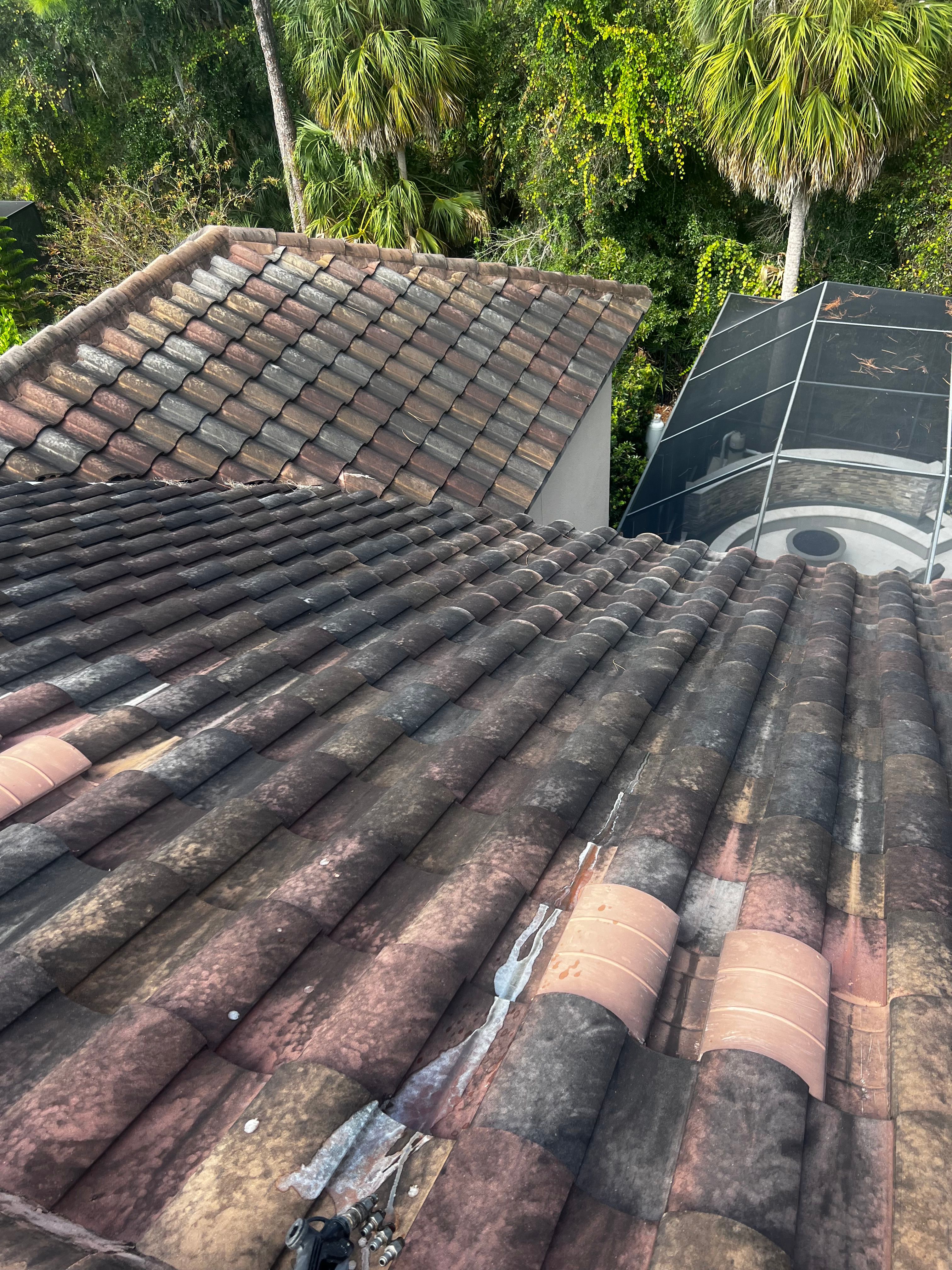  for Barr None Wash Pro in Tampa, FL