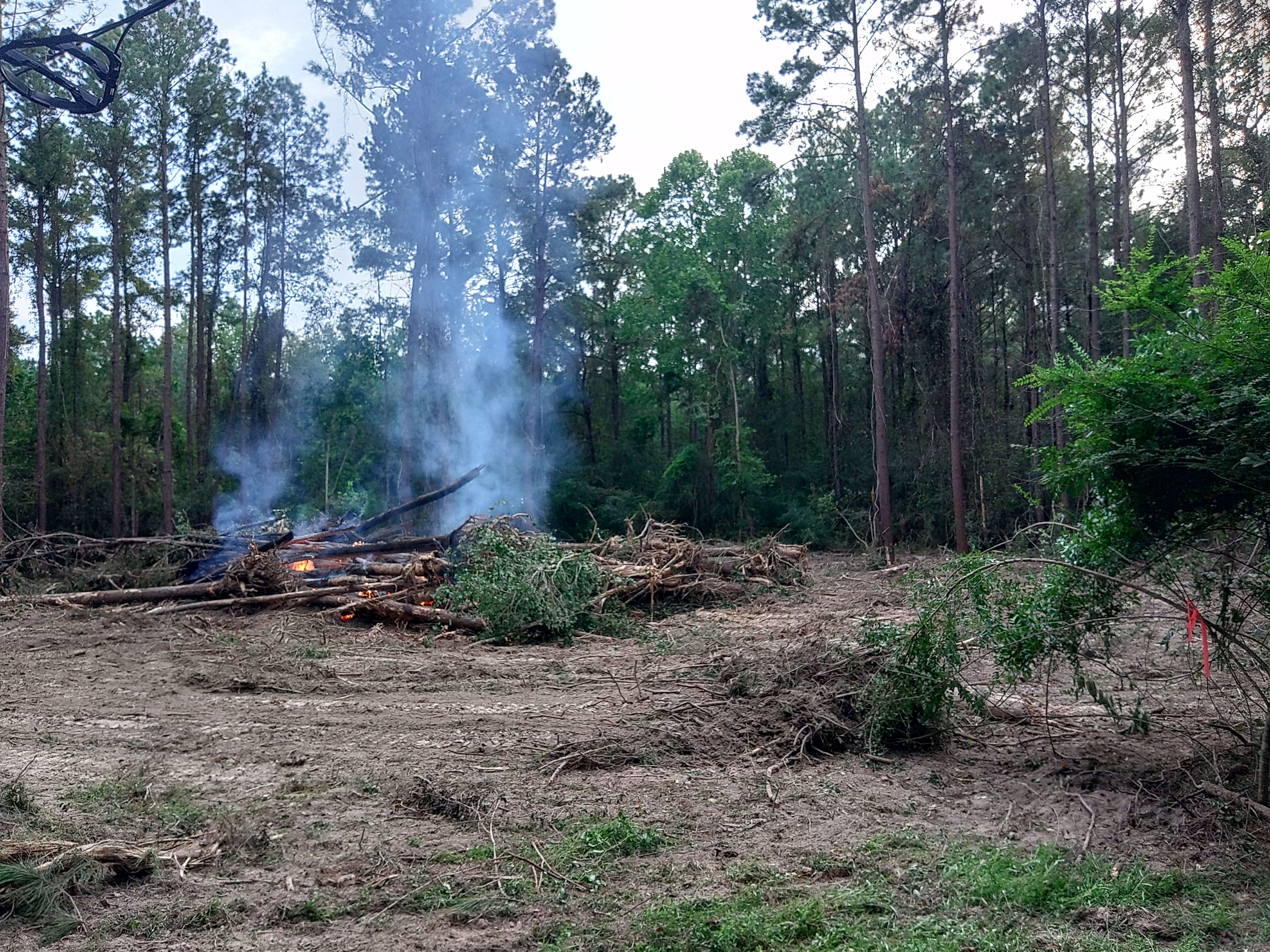 All Photos for Big Thicket Land Clearing in Kountze, TX