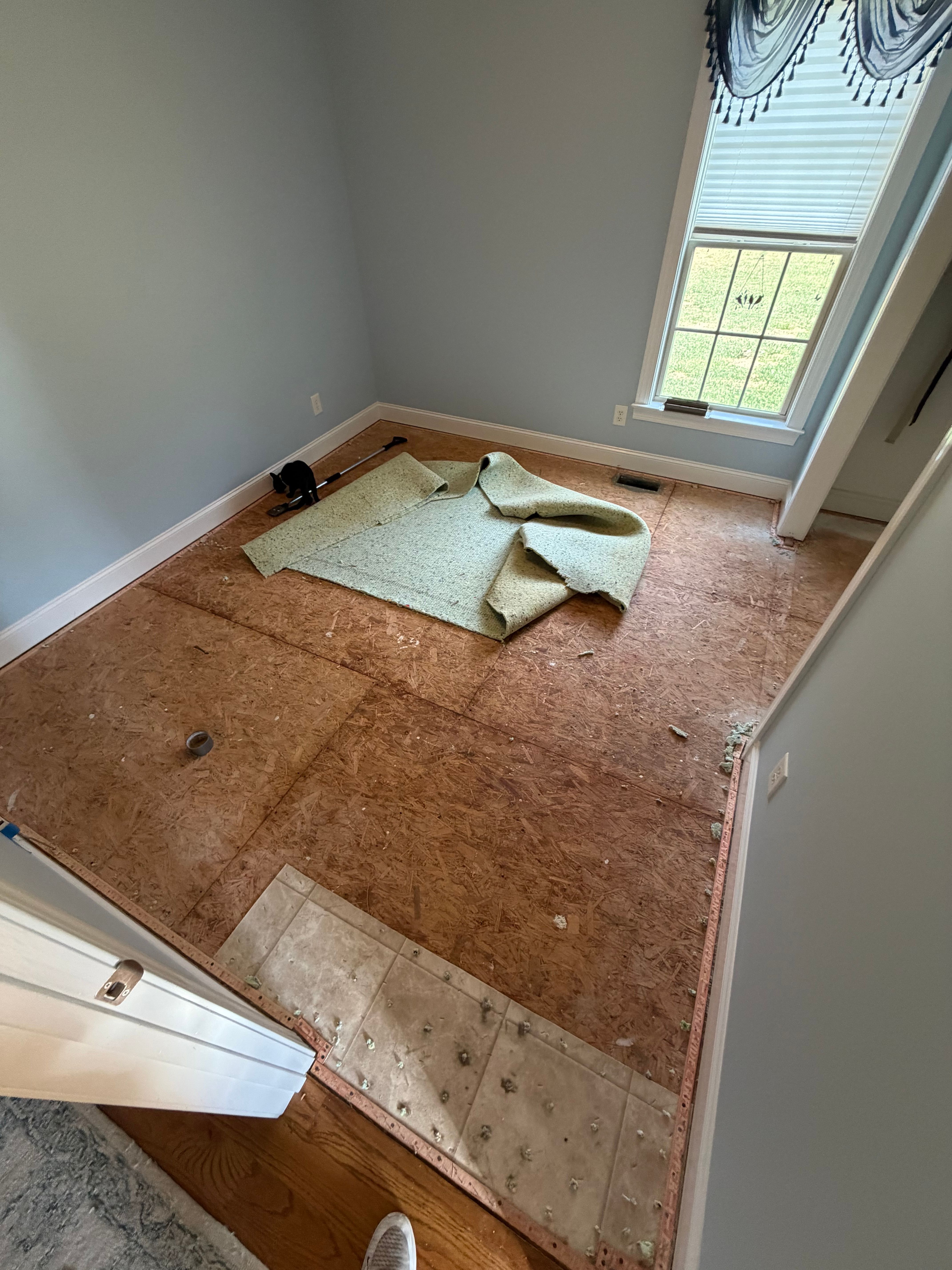  for Toledo Construction NC in Salisbury, NC