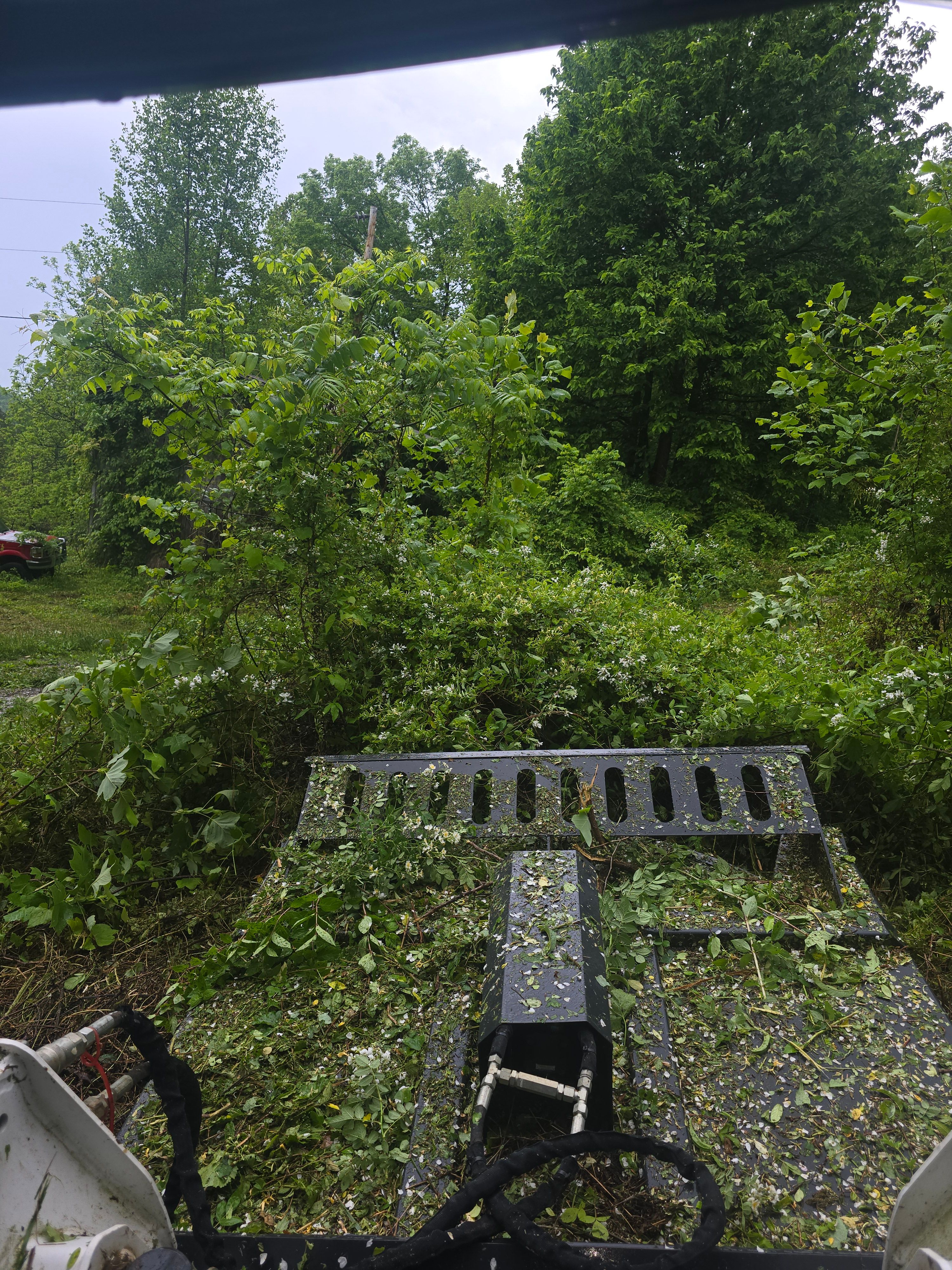  for Williams Lawn & Land in Sharps Chapel, TN