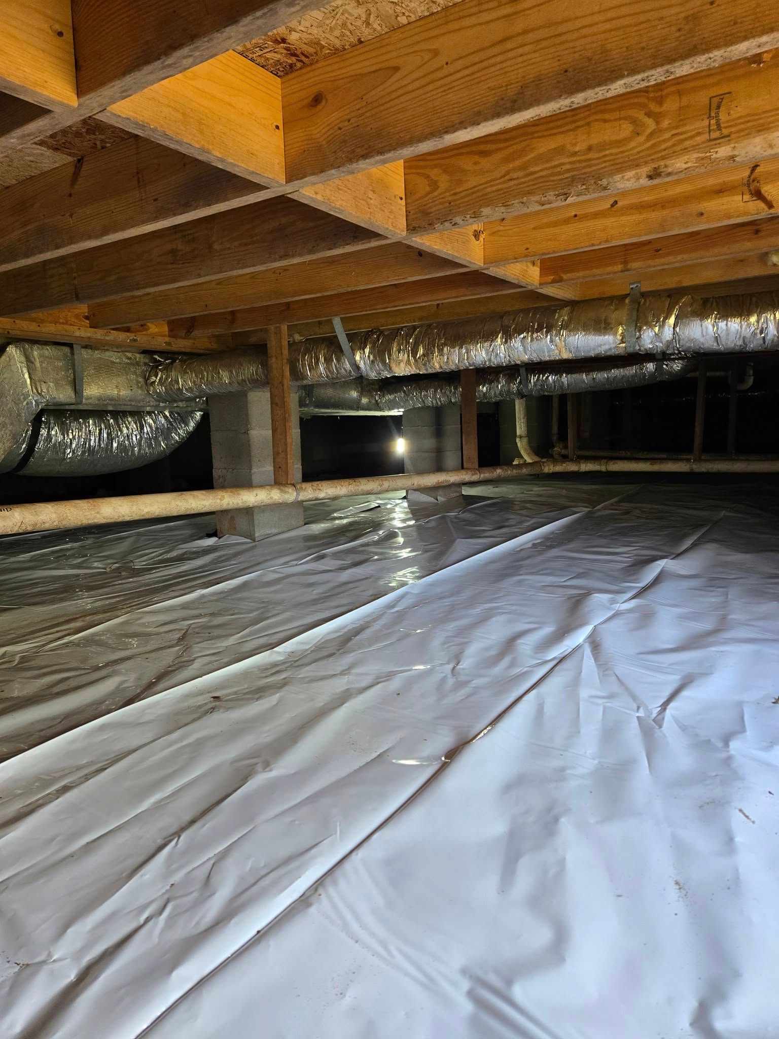  for Bug Blasterz LLC in Huntsville, AL