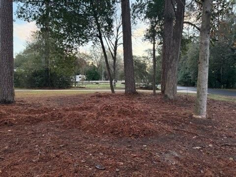  for Servin's Tree Care  in Houston, TX