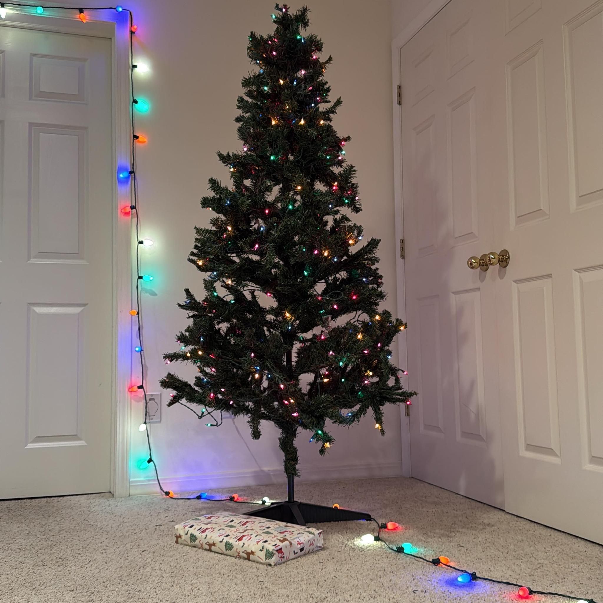  for Duncan Yard Services in Bountiful, UT