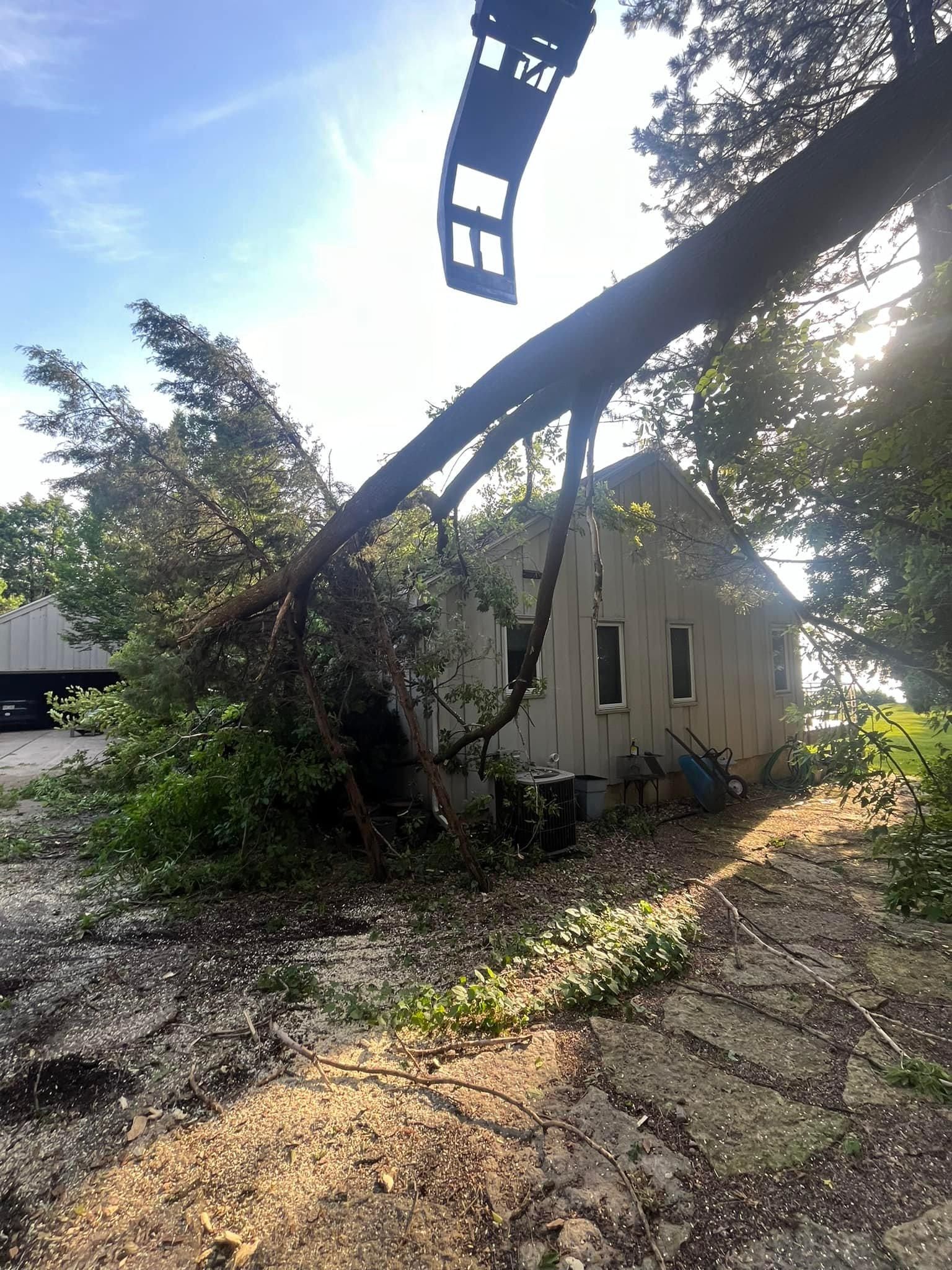  for Tree-B-Gone in Appleton, WI