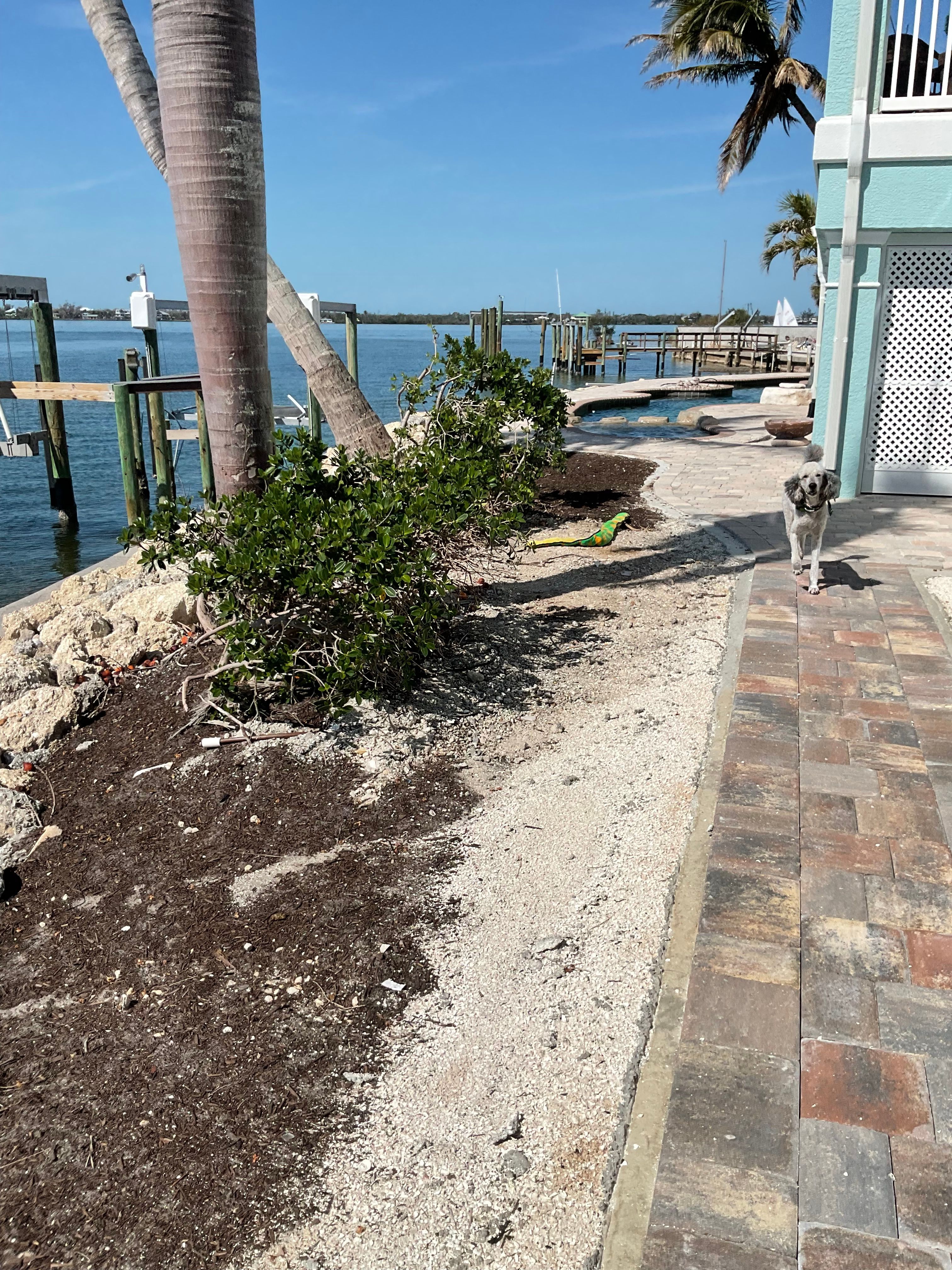 Before and After for DelliQuadri Landscapes LLC in North Port, FL