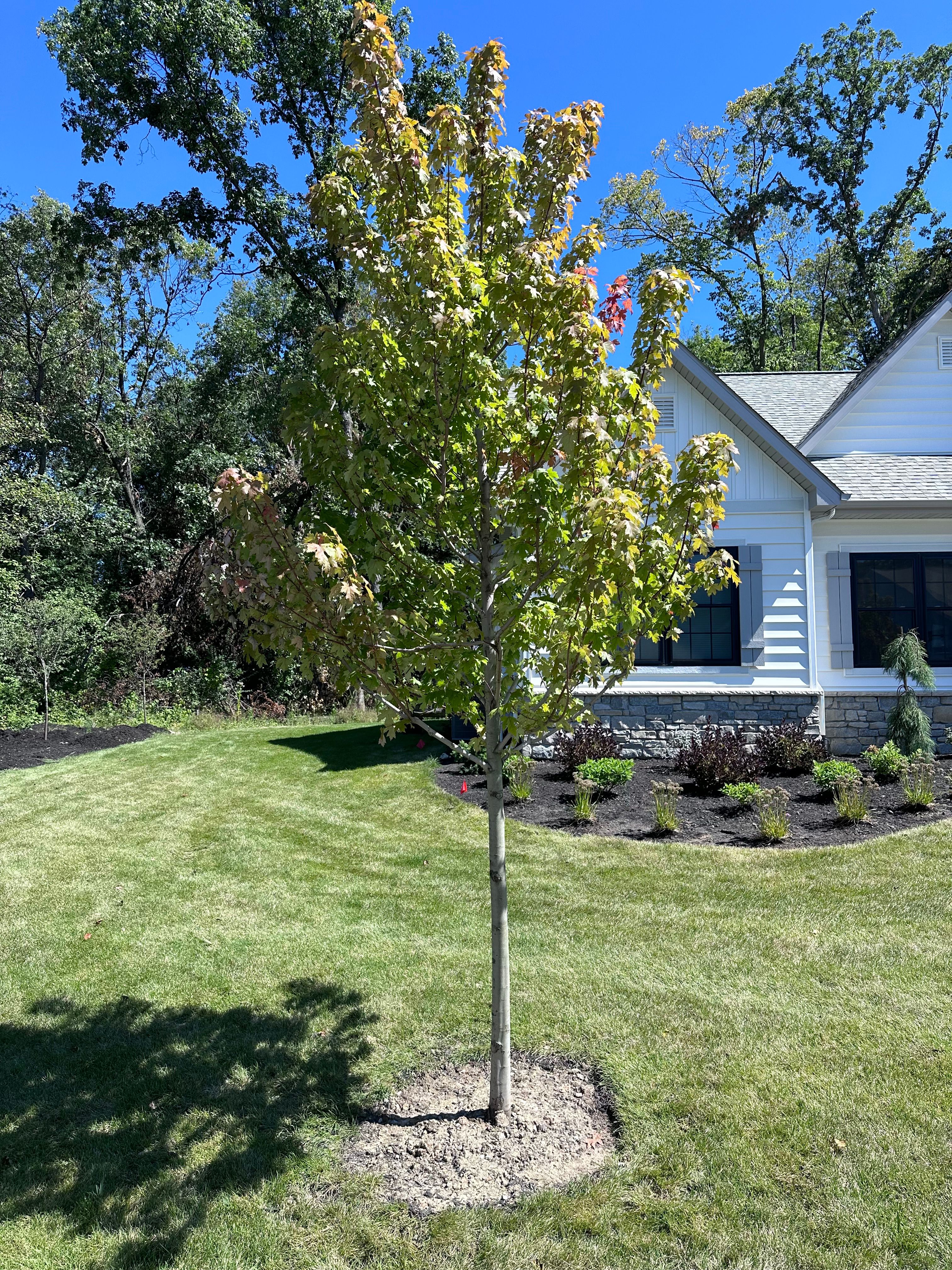  for Torres Lawn & Landscaping in Valparaiso, IN