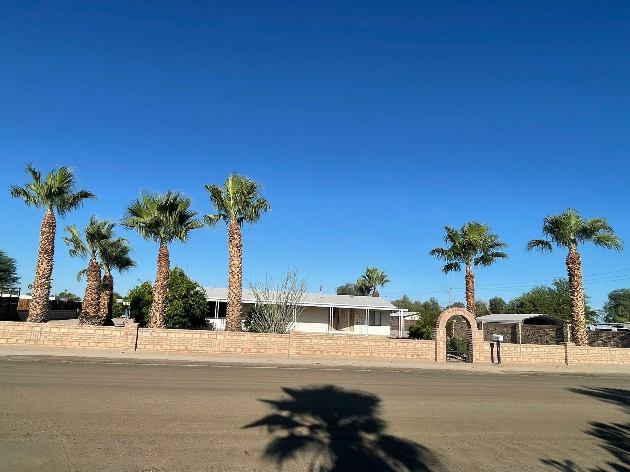  for Oliver L. Palm & Tree services in Yuma County, AZ