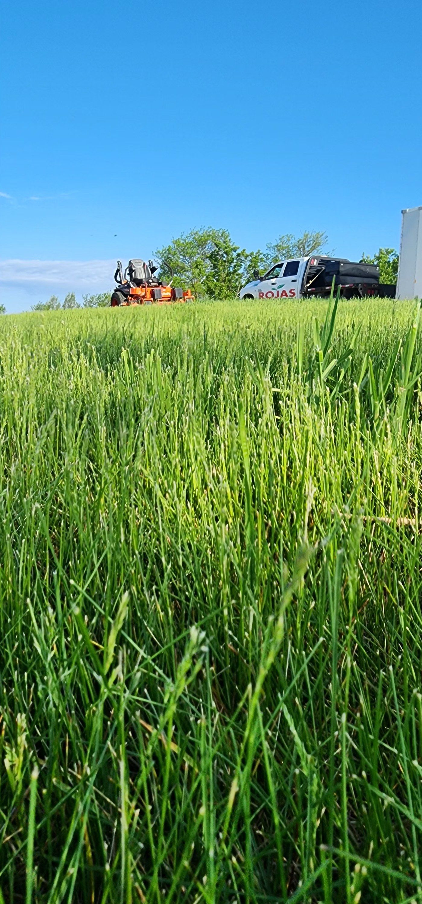 Landscaping for Rojas Services in Northfield, MN