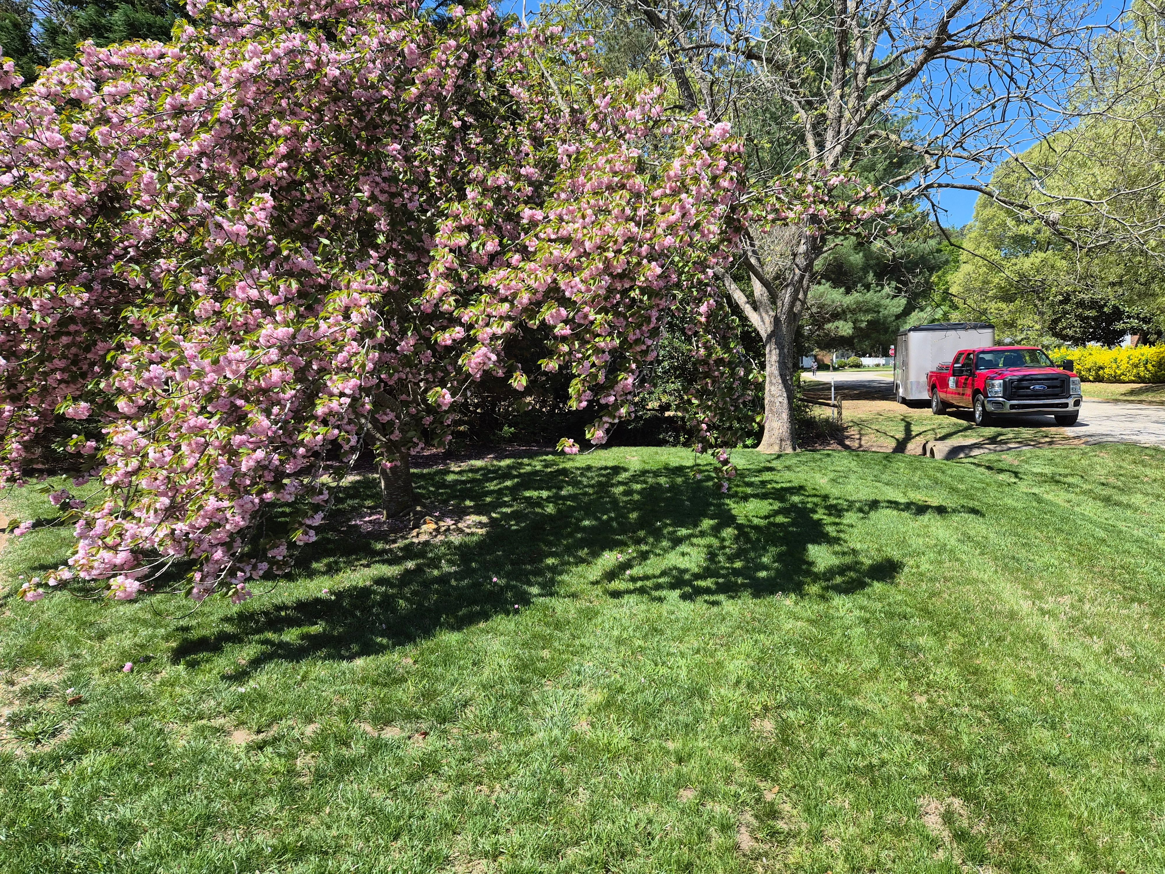 All Photos for 4 Points Lawncare LLC in Hayes, VA
