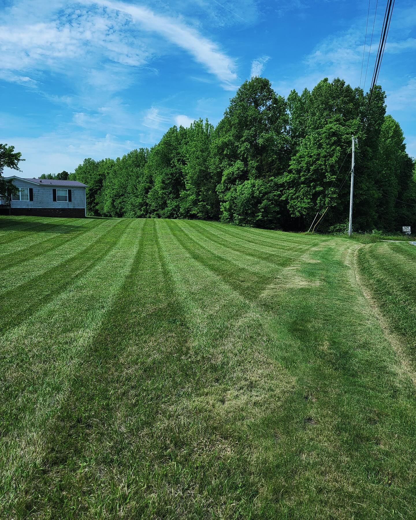  for Piedmont Lawn and Landscaping in Lexington, NC