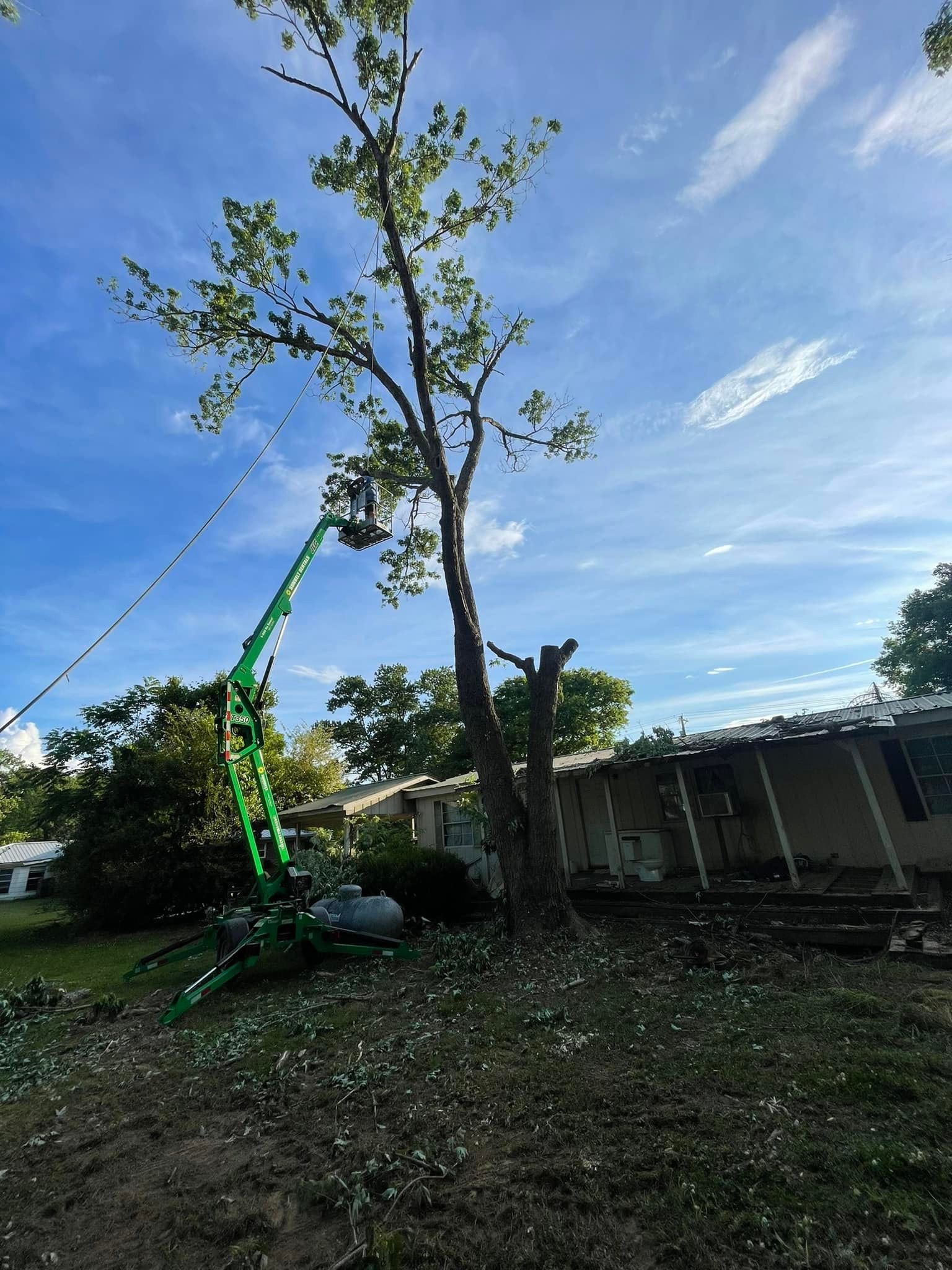 Tree Services for Tree Guys Pressure Washing & Stump Grinding in Scottsboro, AL