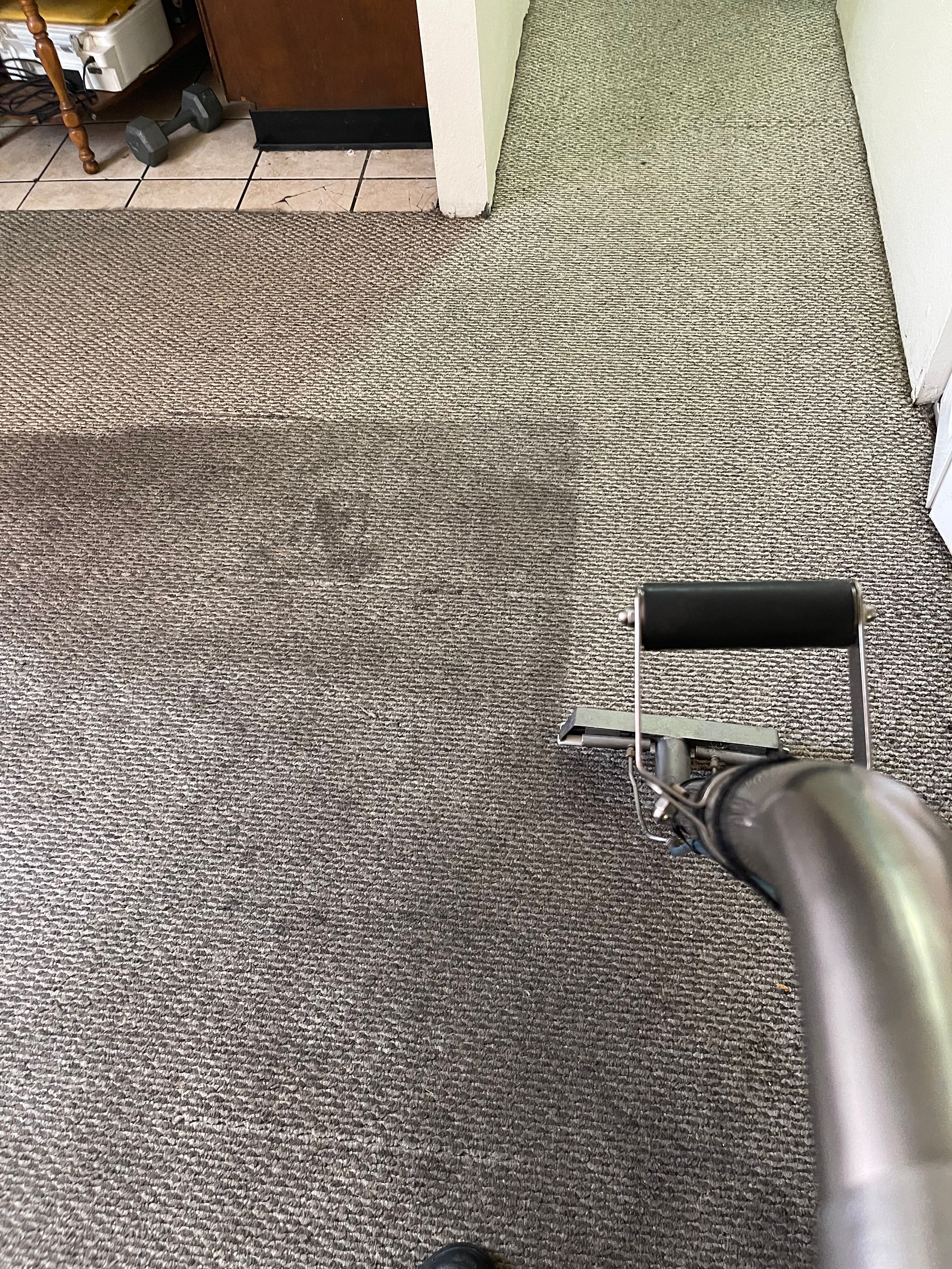 All Photos for Steam Team Restoration and Cleaning in Amarillo, TX