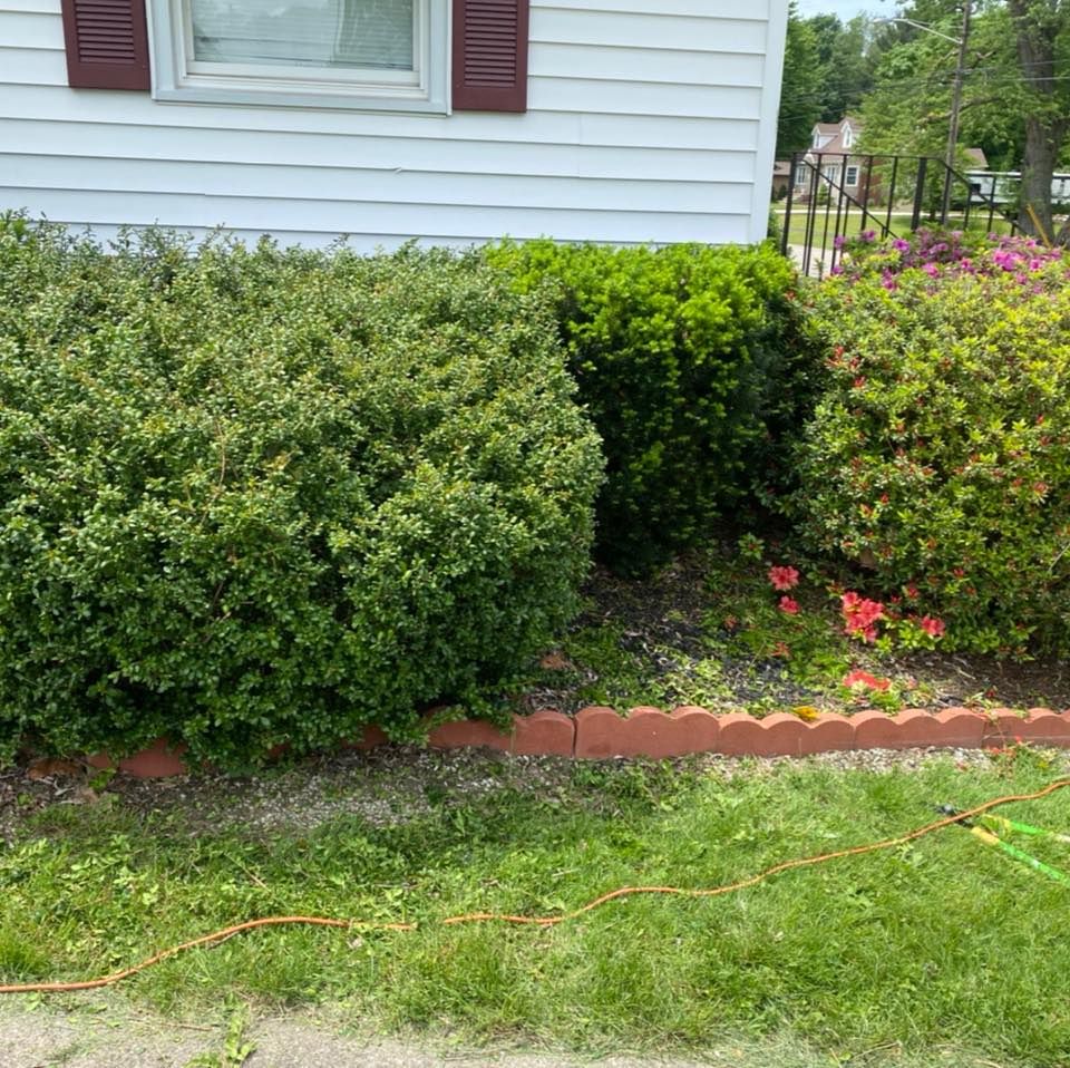  for Lopez Landscaping & Snow Removal LLC in Conneaut, OH