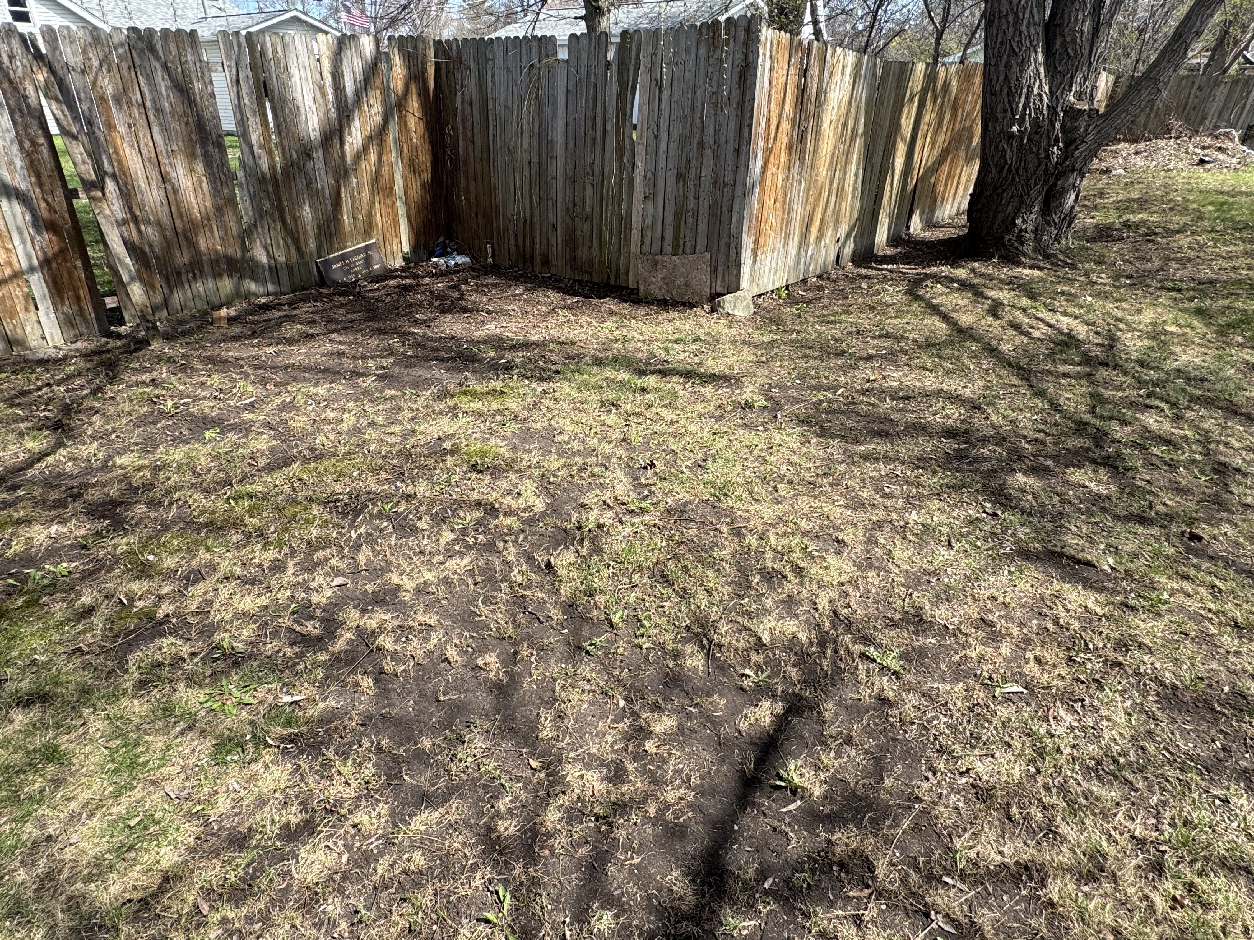  for Daugherty's Tough Lawn Care in Essexville, MI
