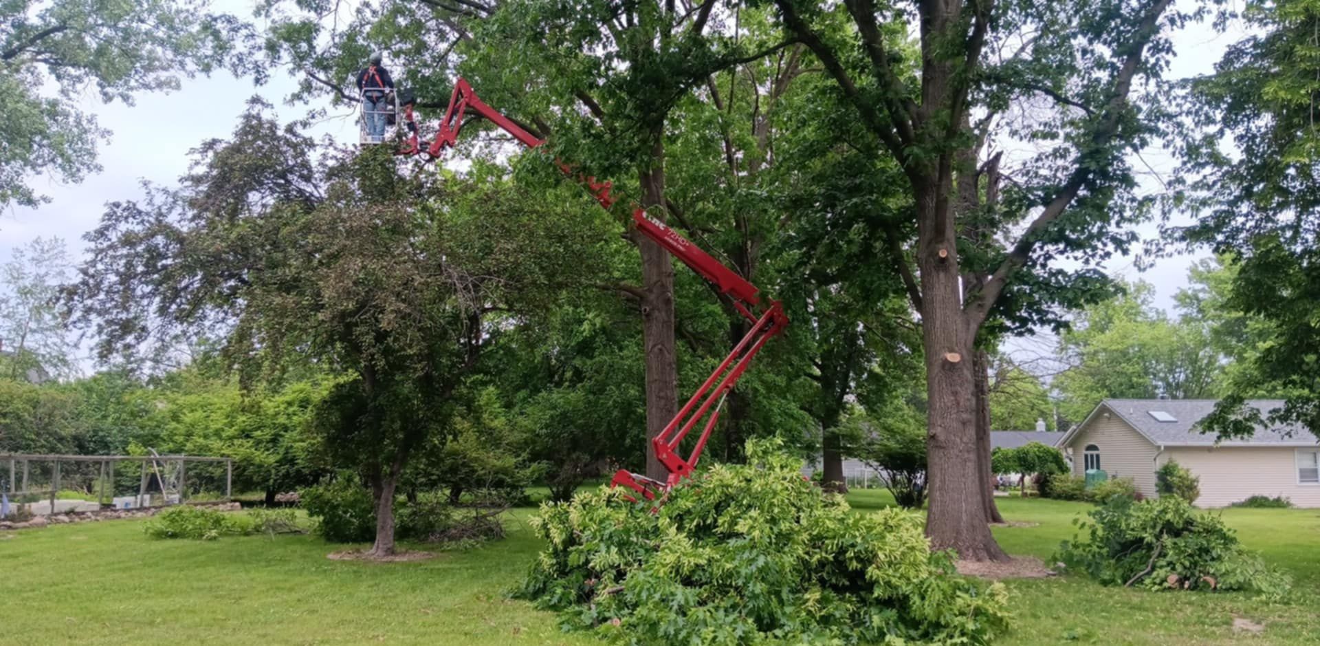  for Lawn Ranger Yard And Tree Service LLC in Ottumwa, IA