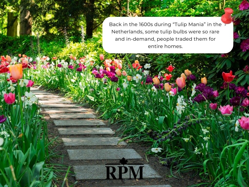  for Roberts Property Management LLC in Thomaston, CT