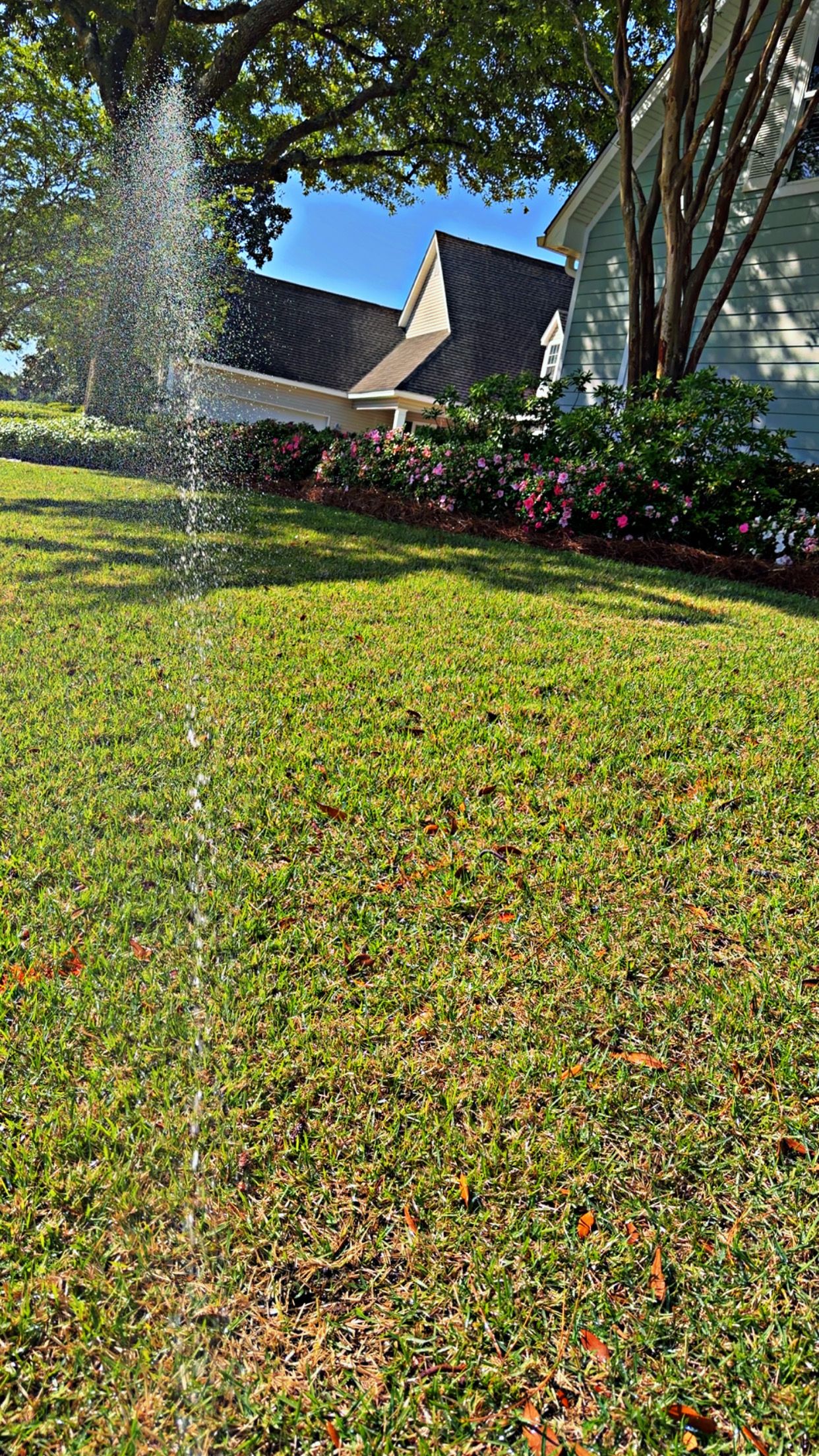  for Enhanced Landscape in Daphne, AL