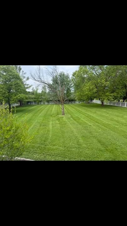 All Photos for Bearforce Lawn Care LLC in Greenfield, IN