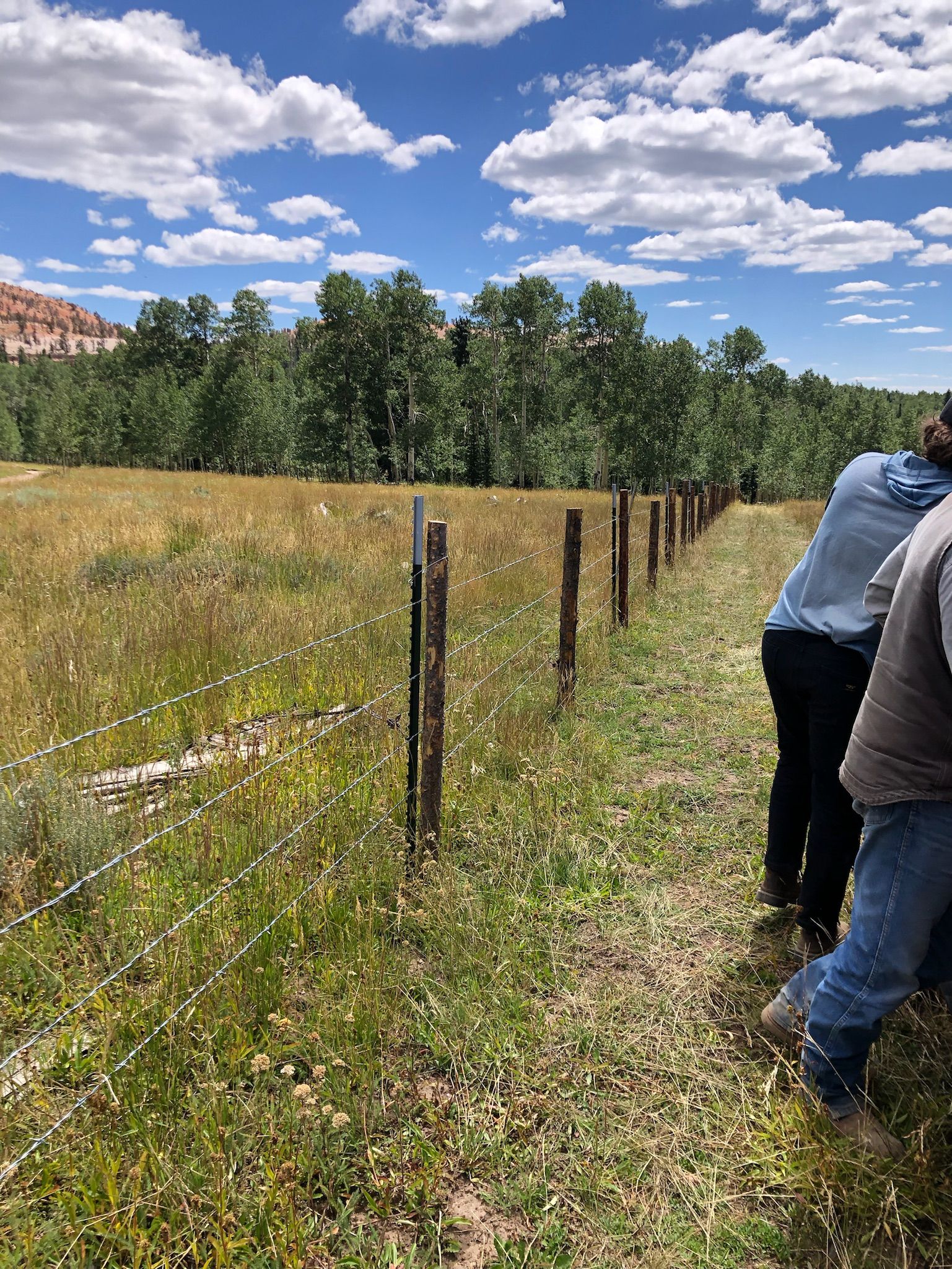 Fences for Burton Fencing in Parowan, UT