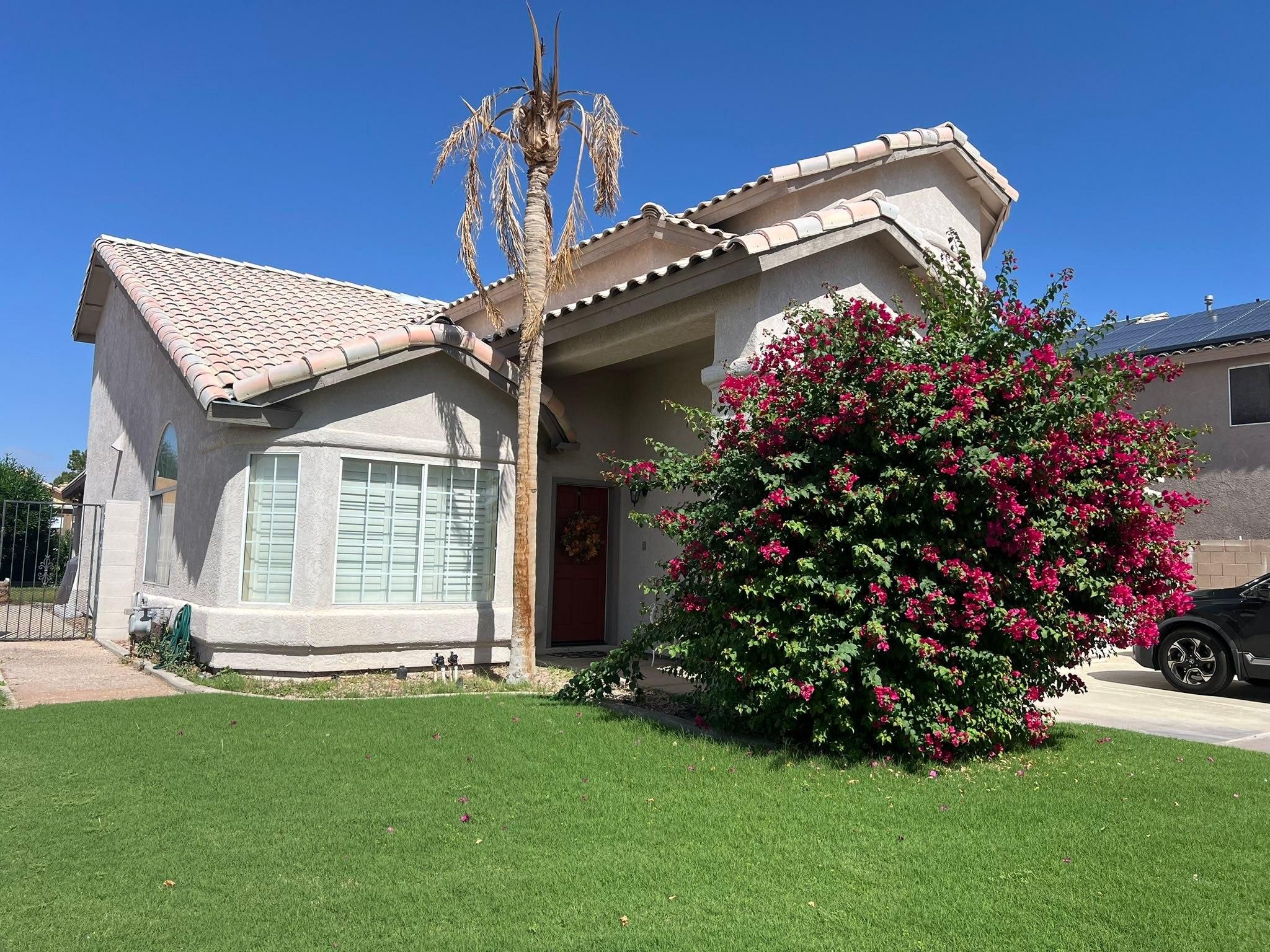  for Oliver L. Palm & Tree services in Yuma County, AZ