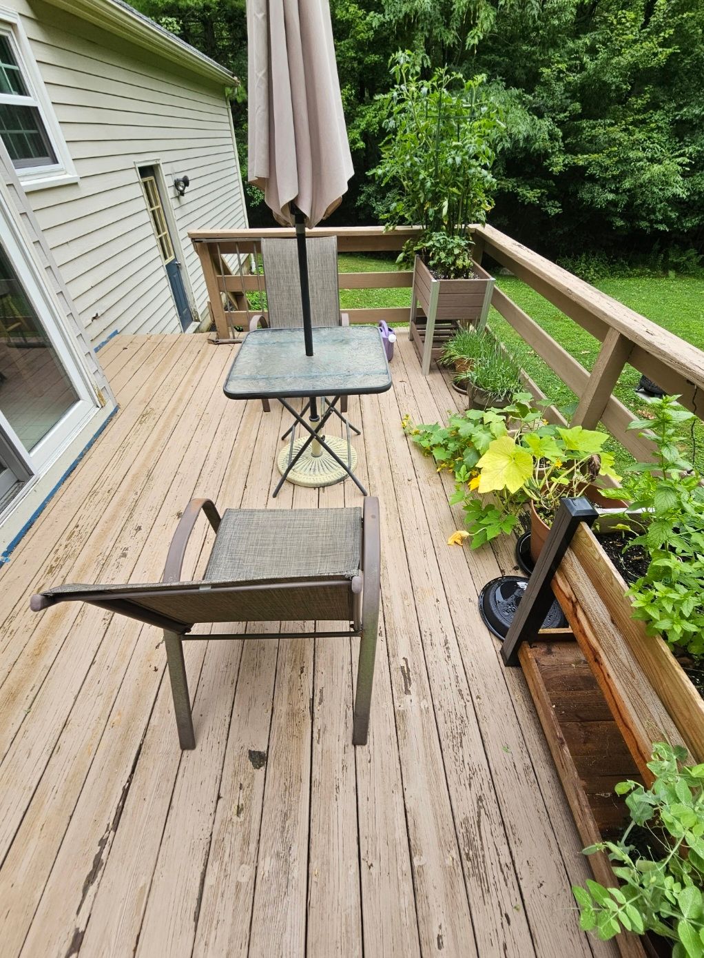  for South Coast Decks LLC in Mansfield, MA