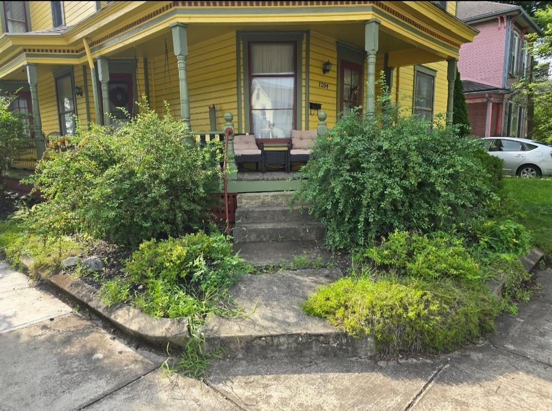 All Photos for Tingley's Green Land Services in Springfield, Ohio