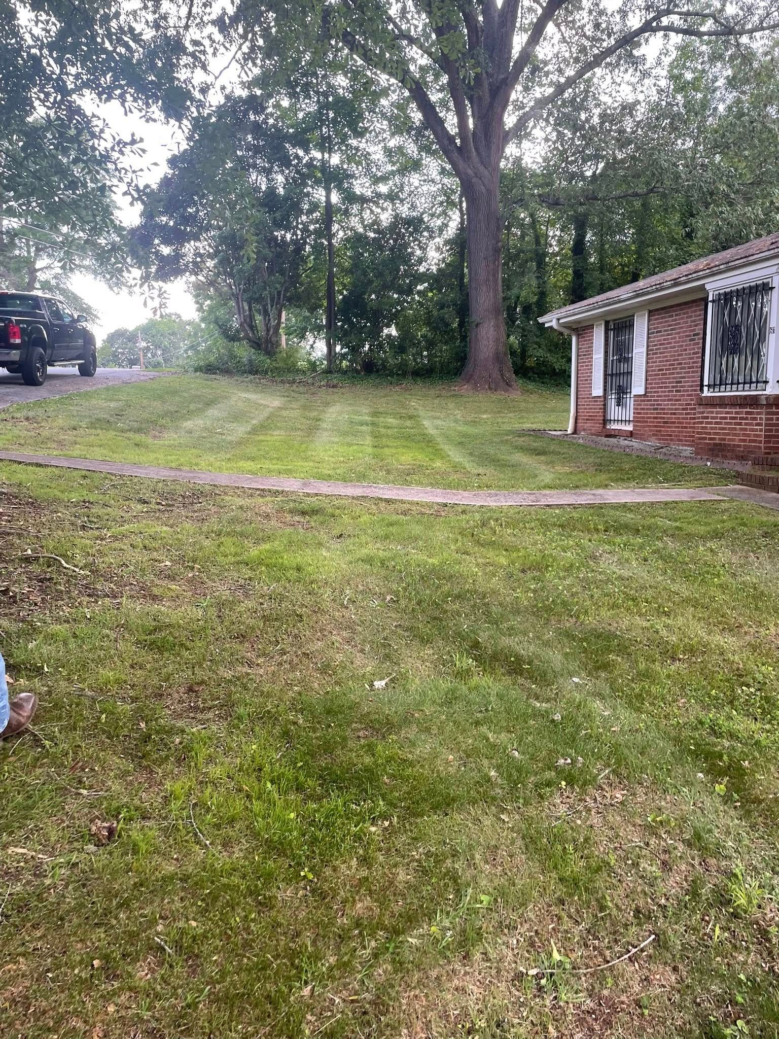  for Countryside lawn pros in Upstate, SC