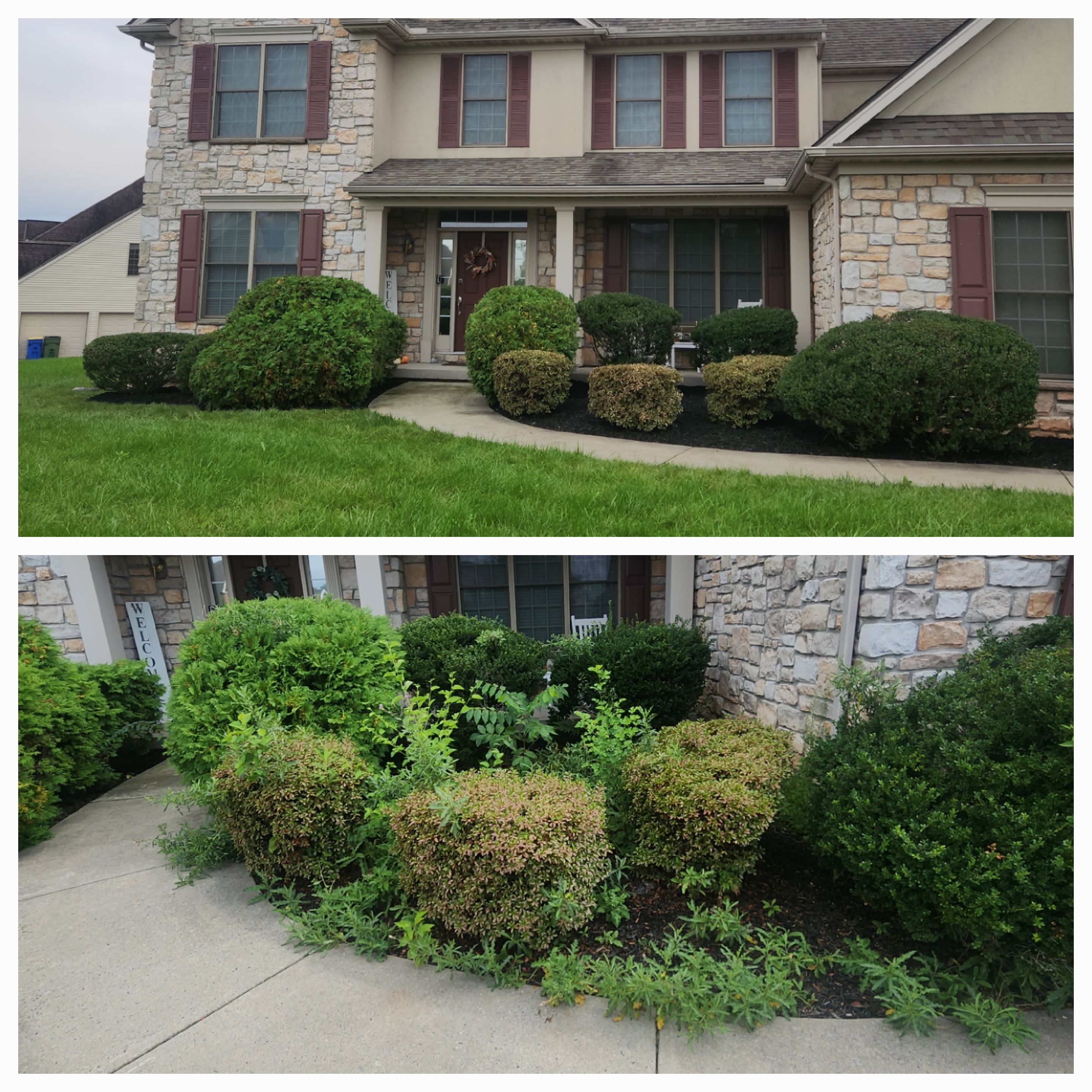 All Photos for Wiley Landscape Design in York, PA