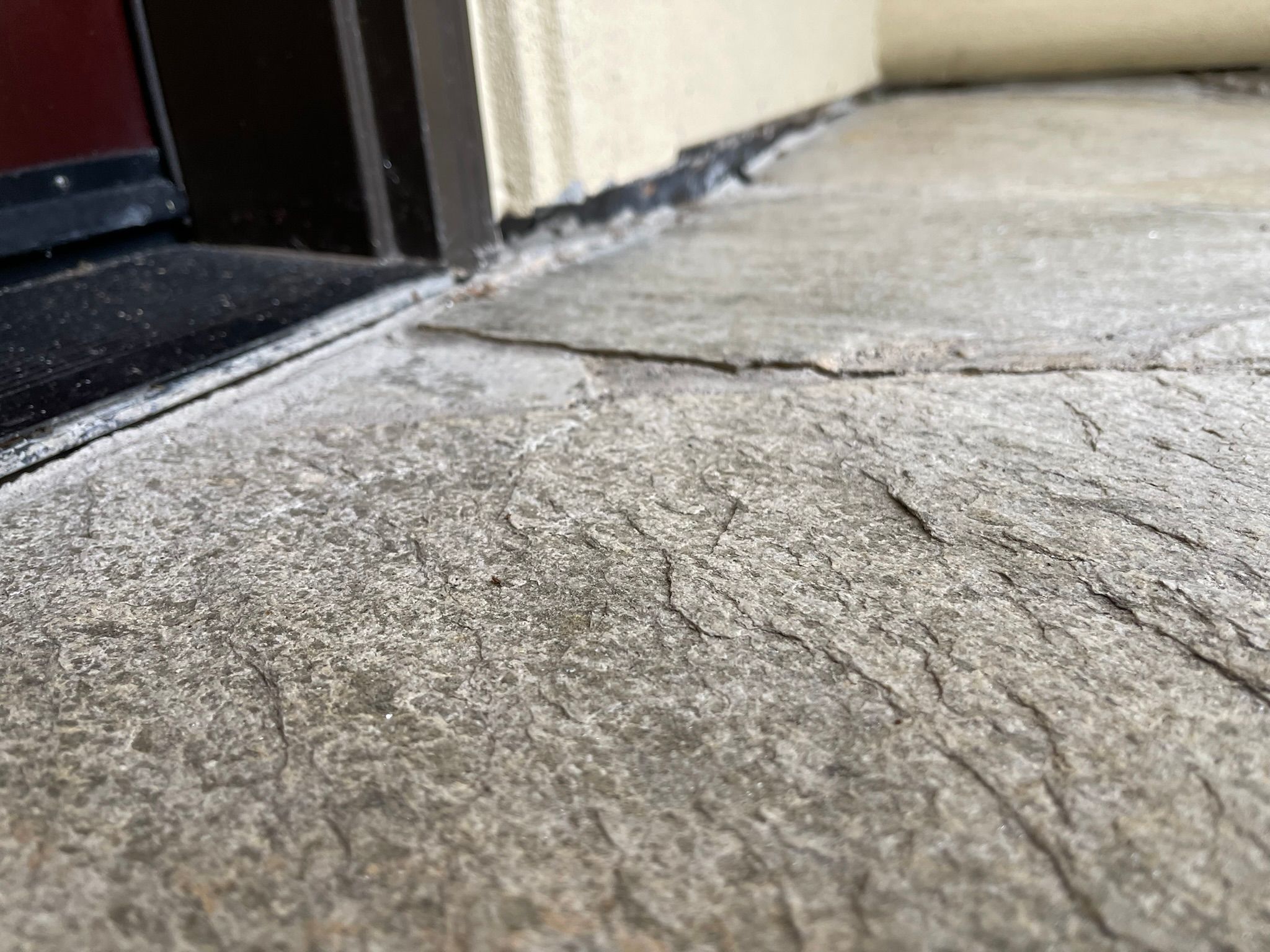  for Tony's Remodeling & Painting in Renton, WA