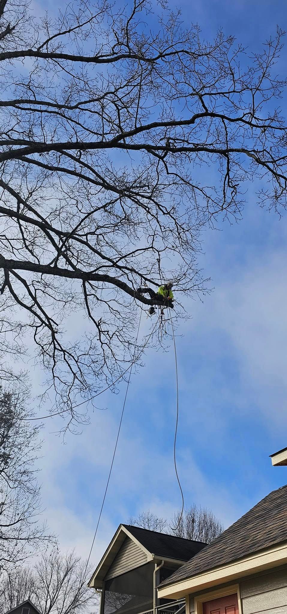  for Reagan & Sons Tree Service in Dandridge, TN