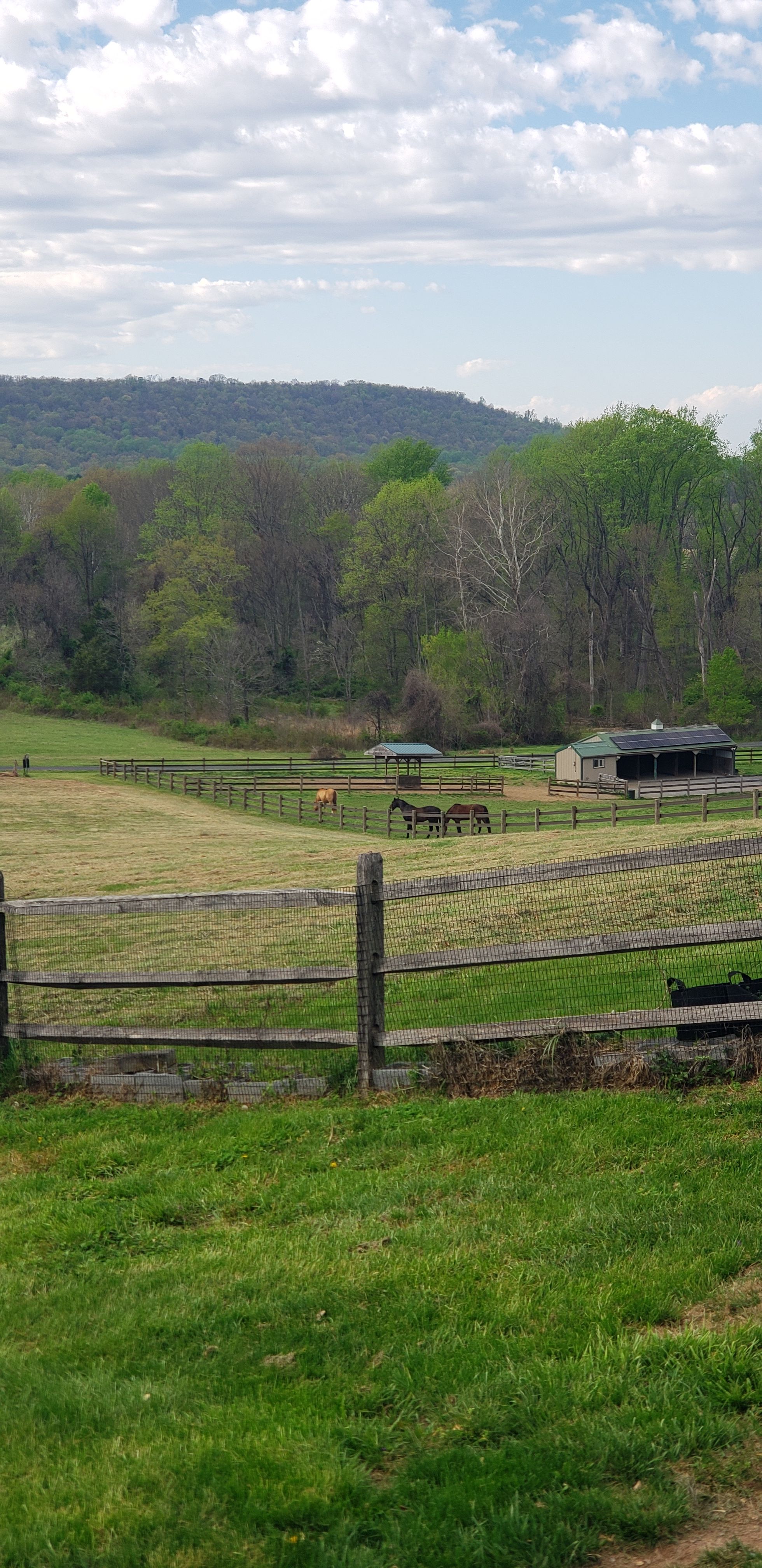  for Clean Cut Lawns & Landscaping in Dickerson, MD