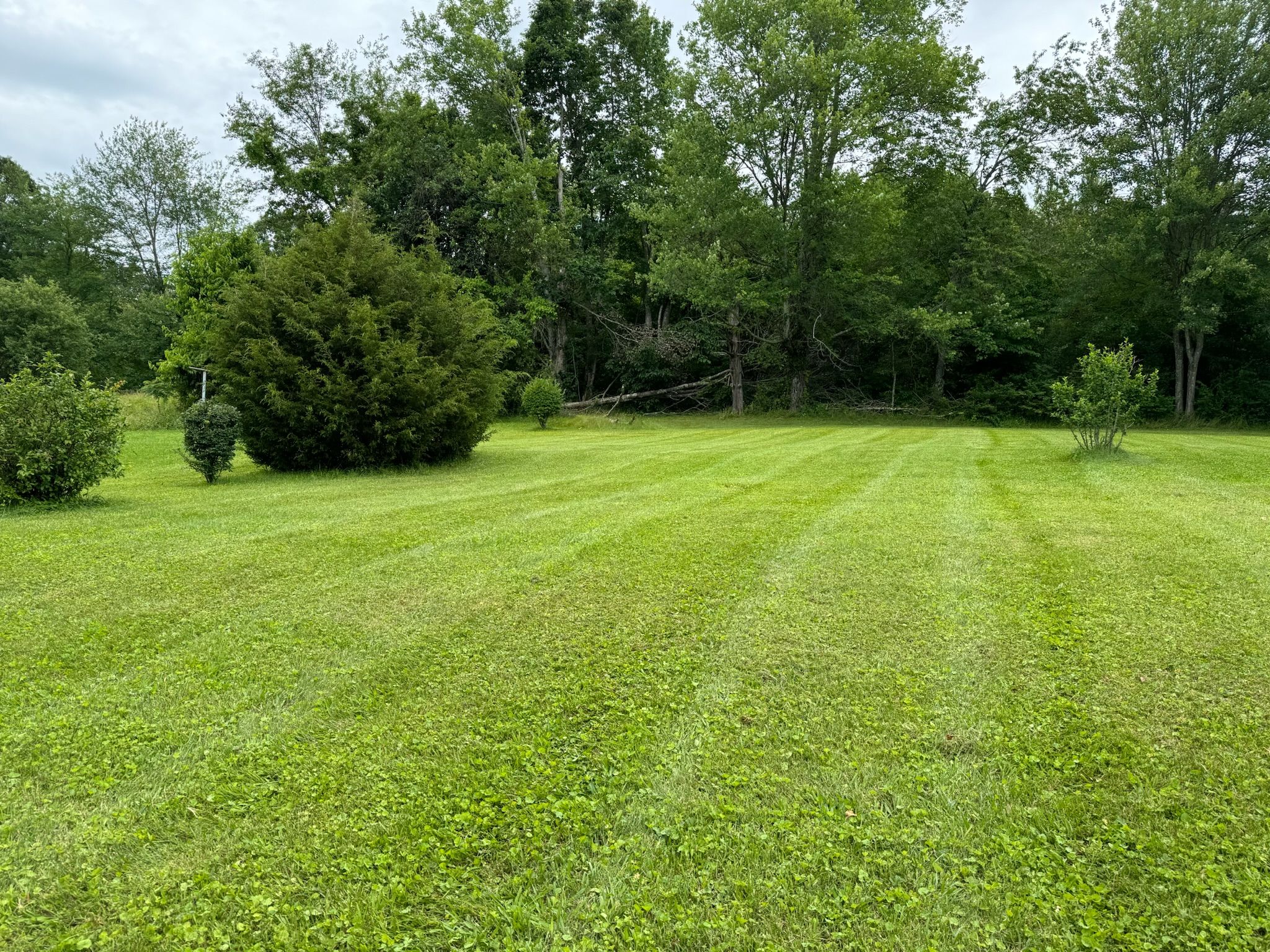  for Hale’s Hydroseeding in London, KY