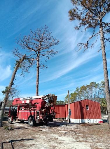 All Photos for Asbell's Tree & Land Services in Gilchrist County, FL