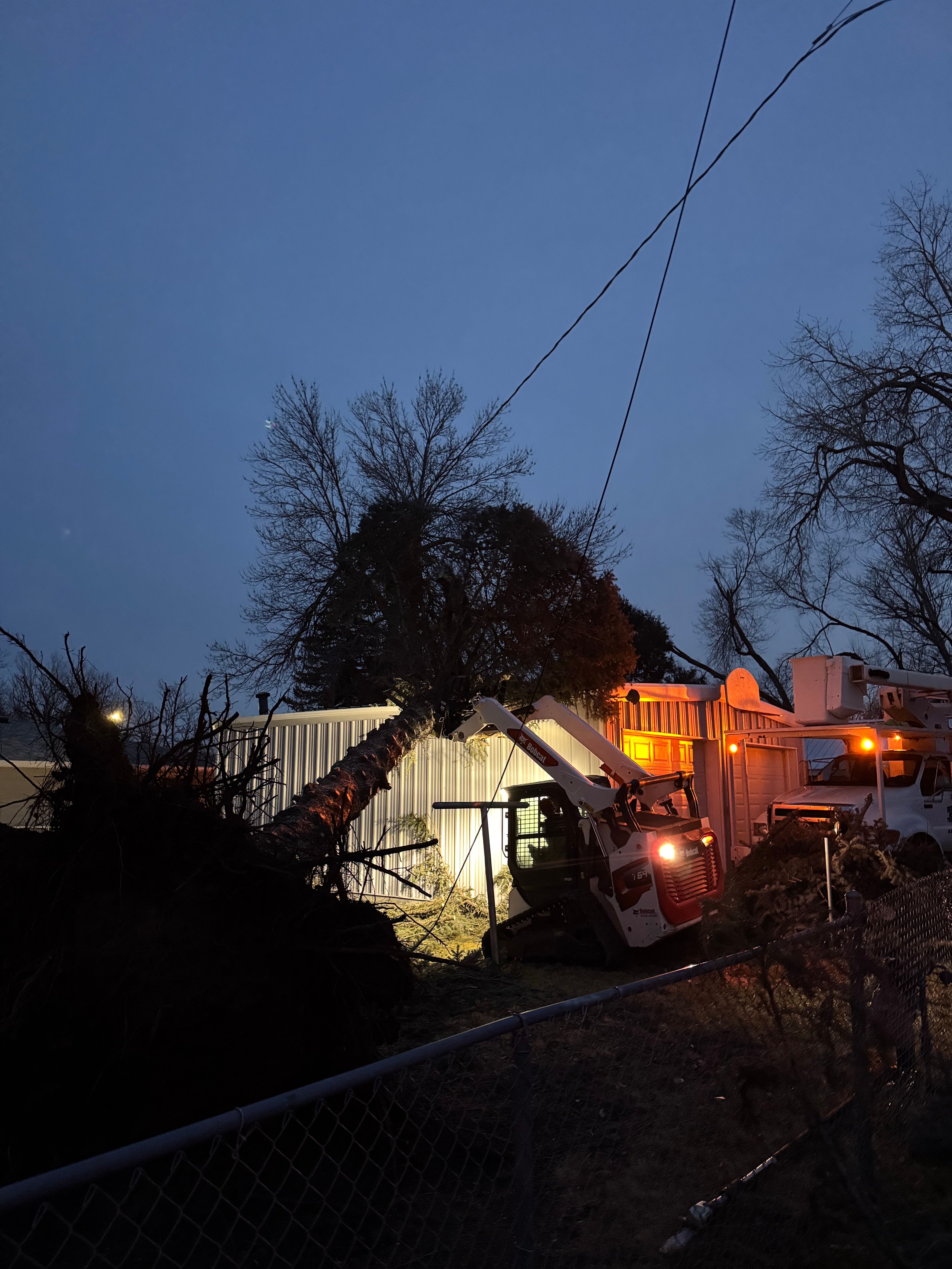  for Clean Cut Tree Service in Gillette, WY