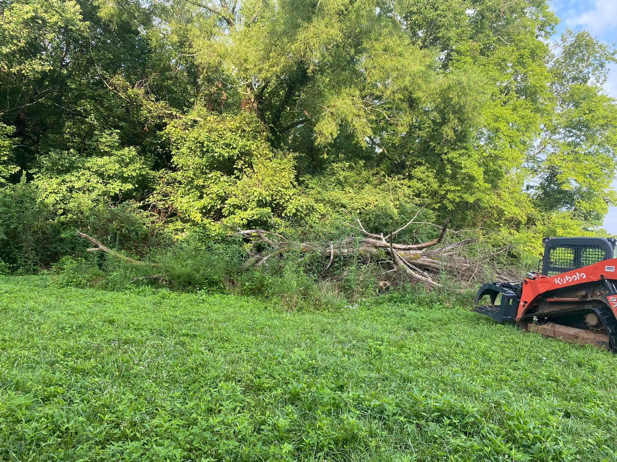  for High Country Wildlife & Land Management in Columbia, TN