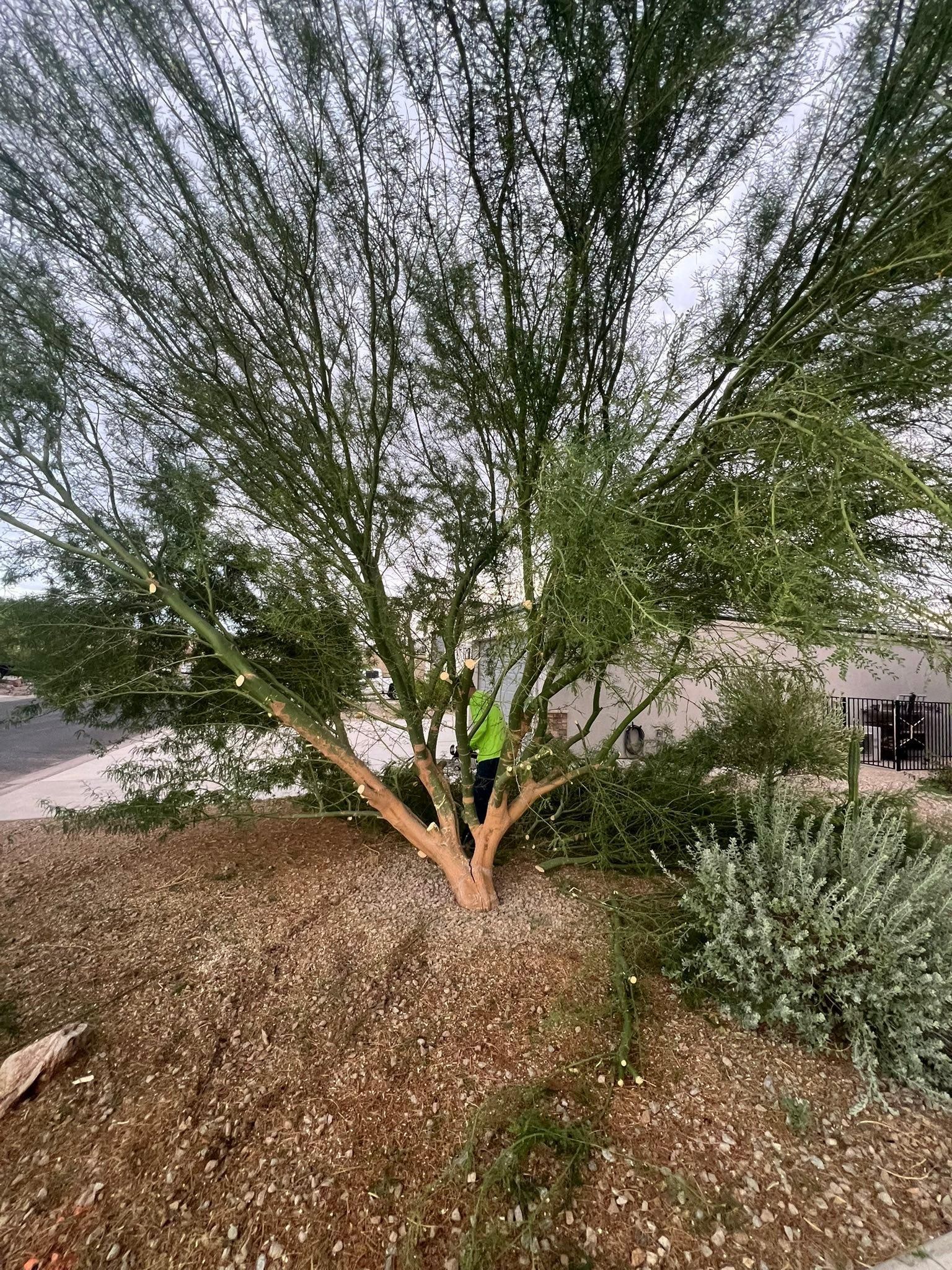  for Top Notch Landscape Services LLC in Mohave Valley, AZ