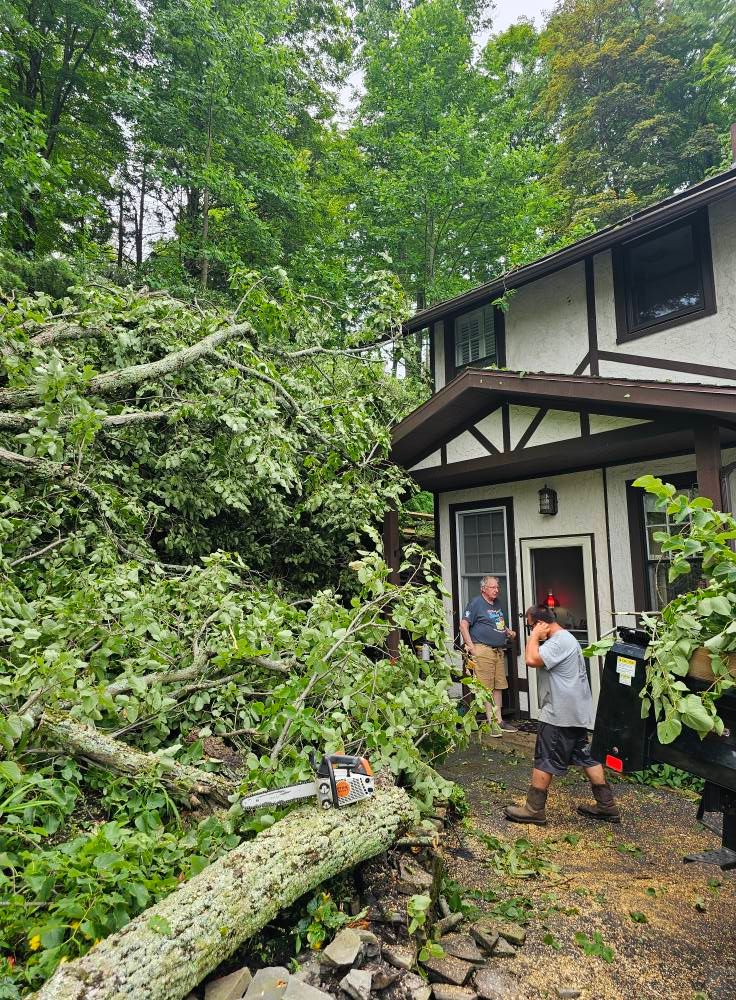  for AAA Tree Cutting in Shavertown, PA