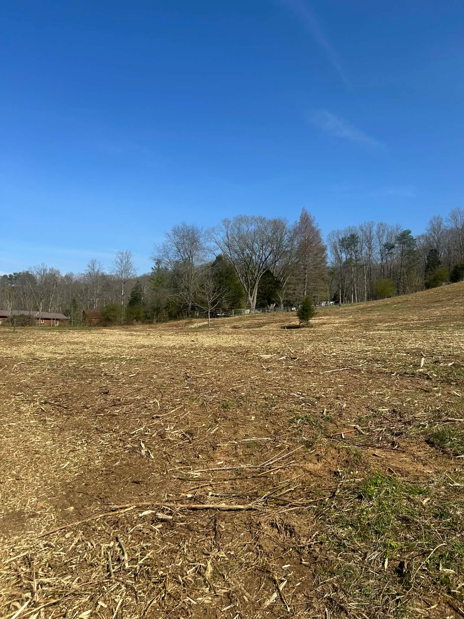  for Z's Land Management & Forestry Mulching in Smithville, TN