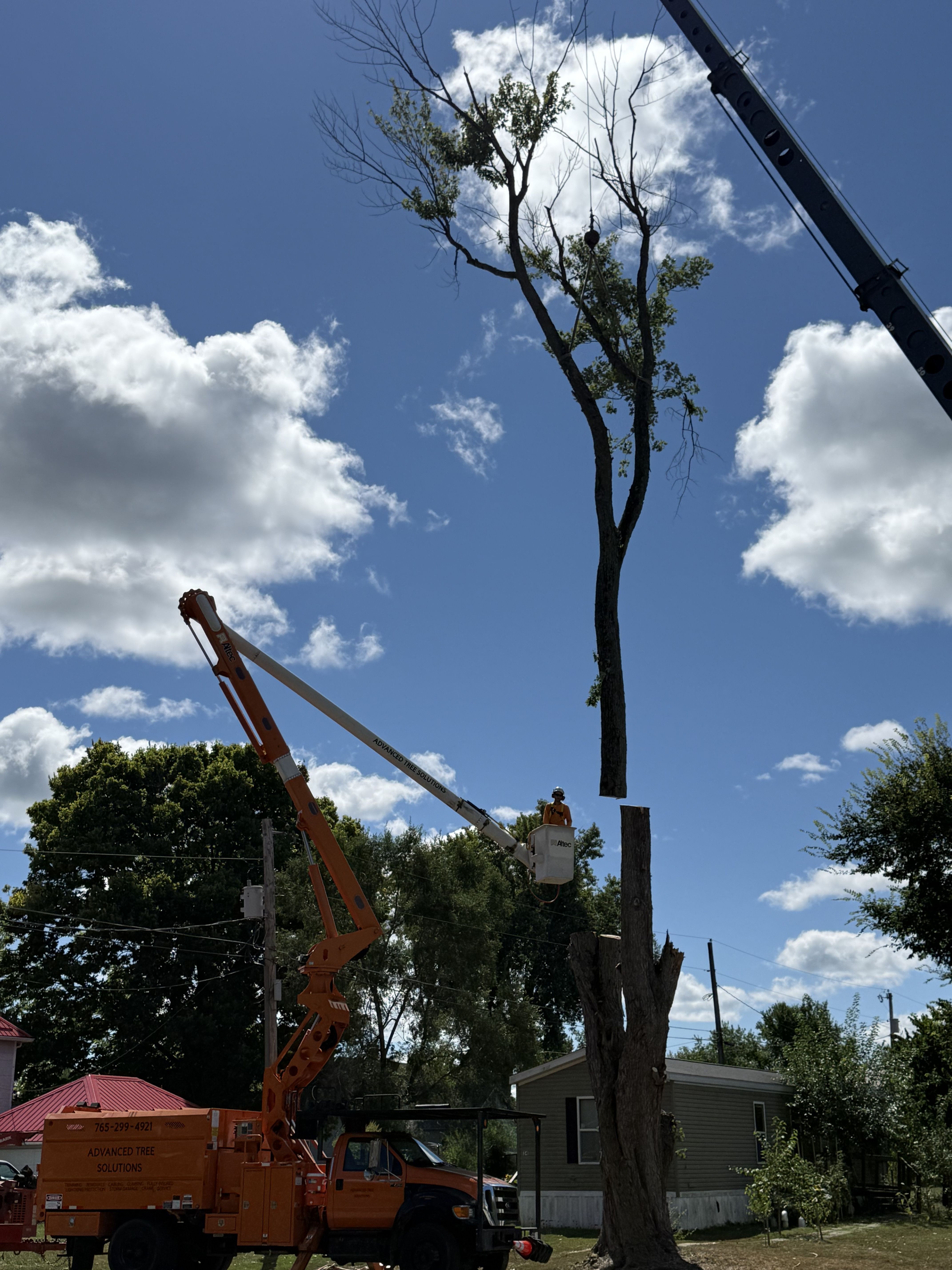  for Advanced Tree Solutions in Rockville, IN