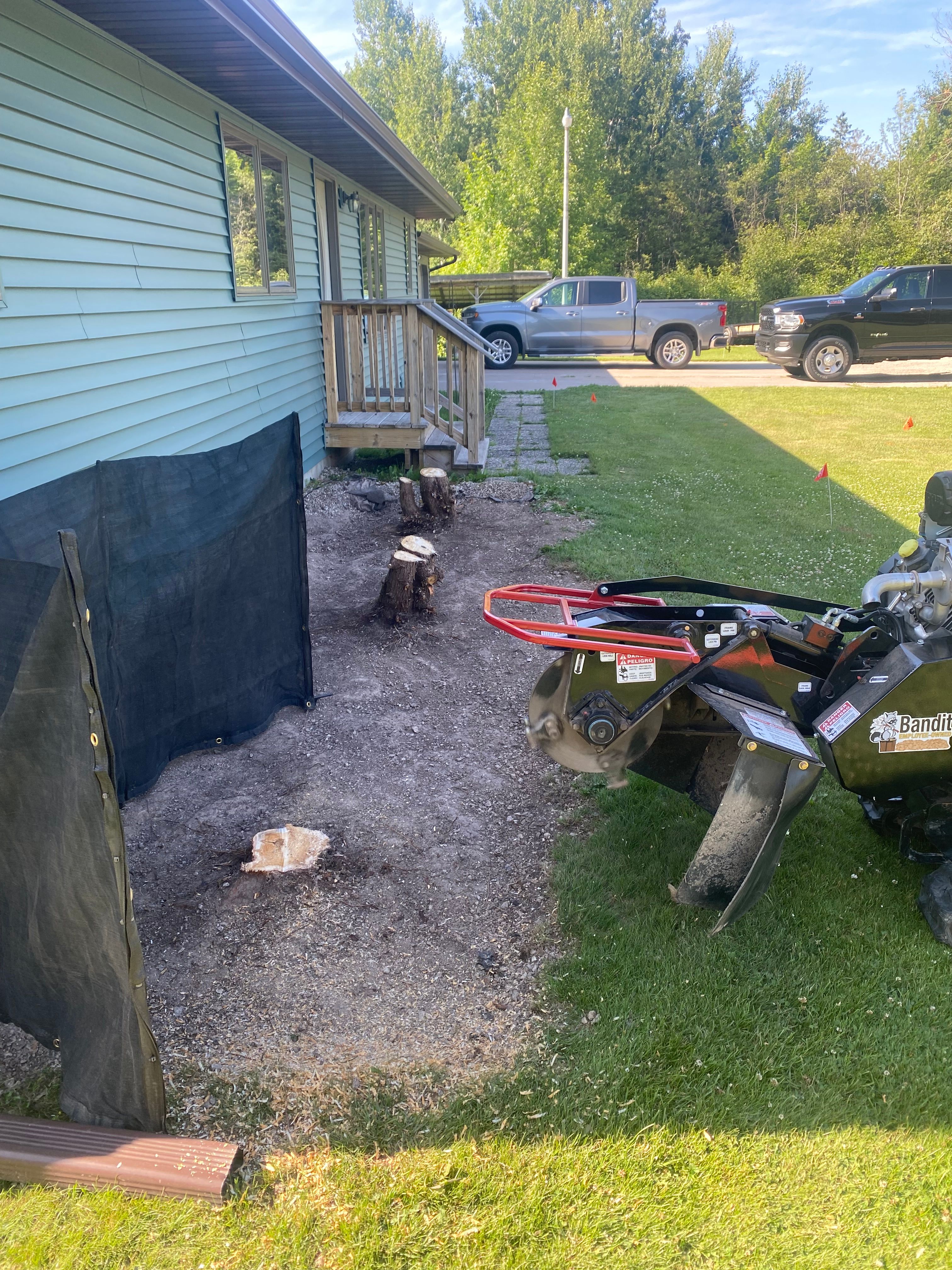 Stump Grinding for Bear Creek Tree Service LLC in Rudyard, MI