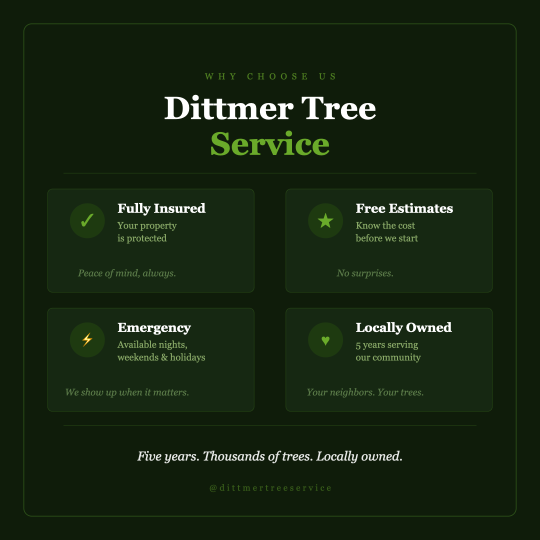 All Photos for Dittmer Tree Service in Davenport, IA